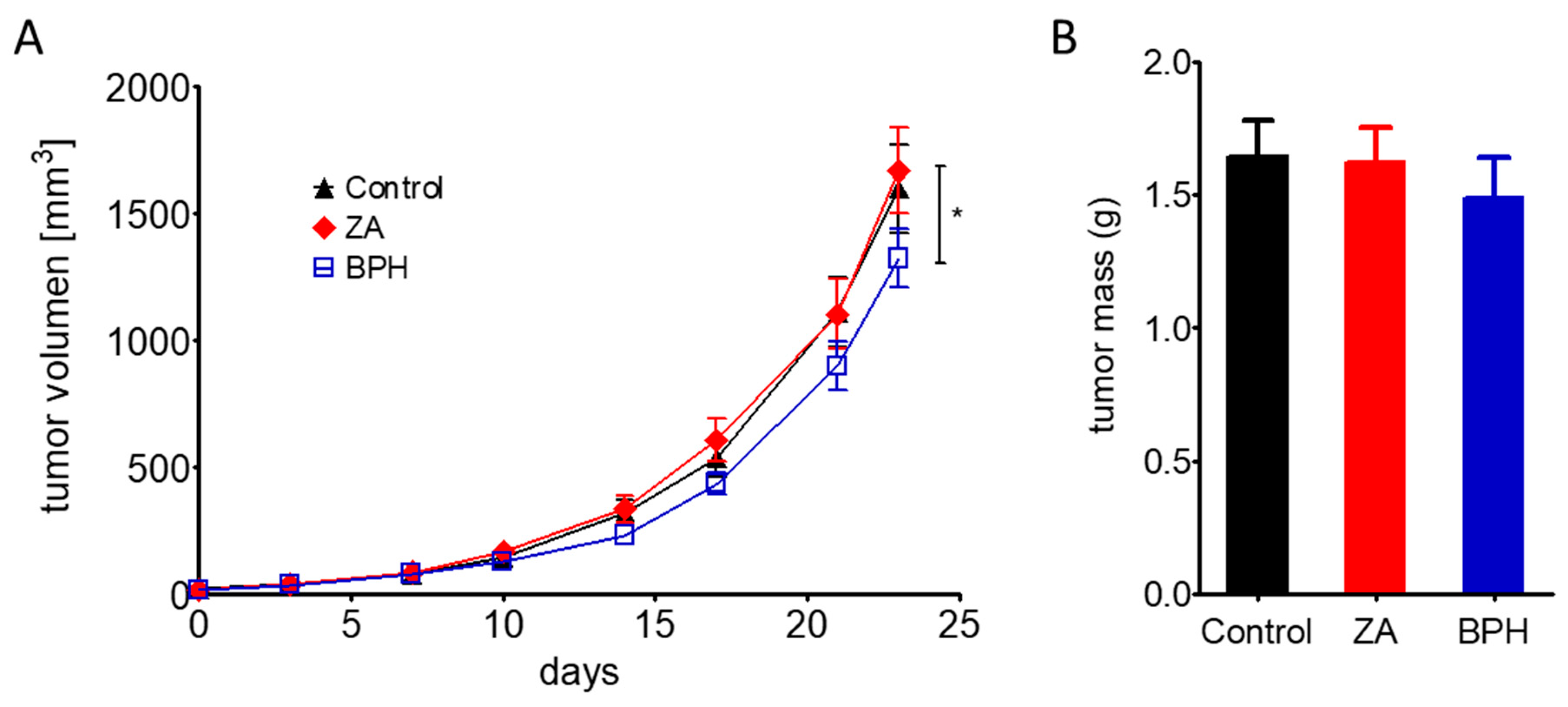 Ijms 20 04917 g006 Ijms 20 04917 g006