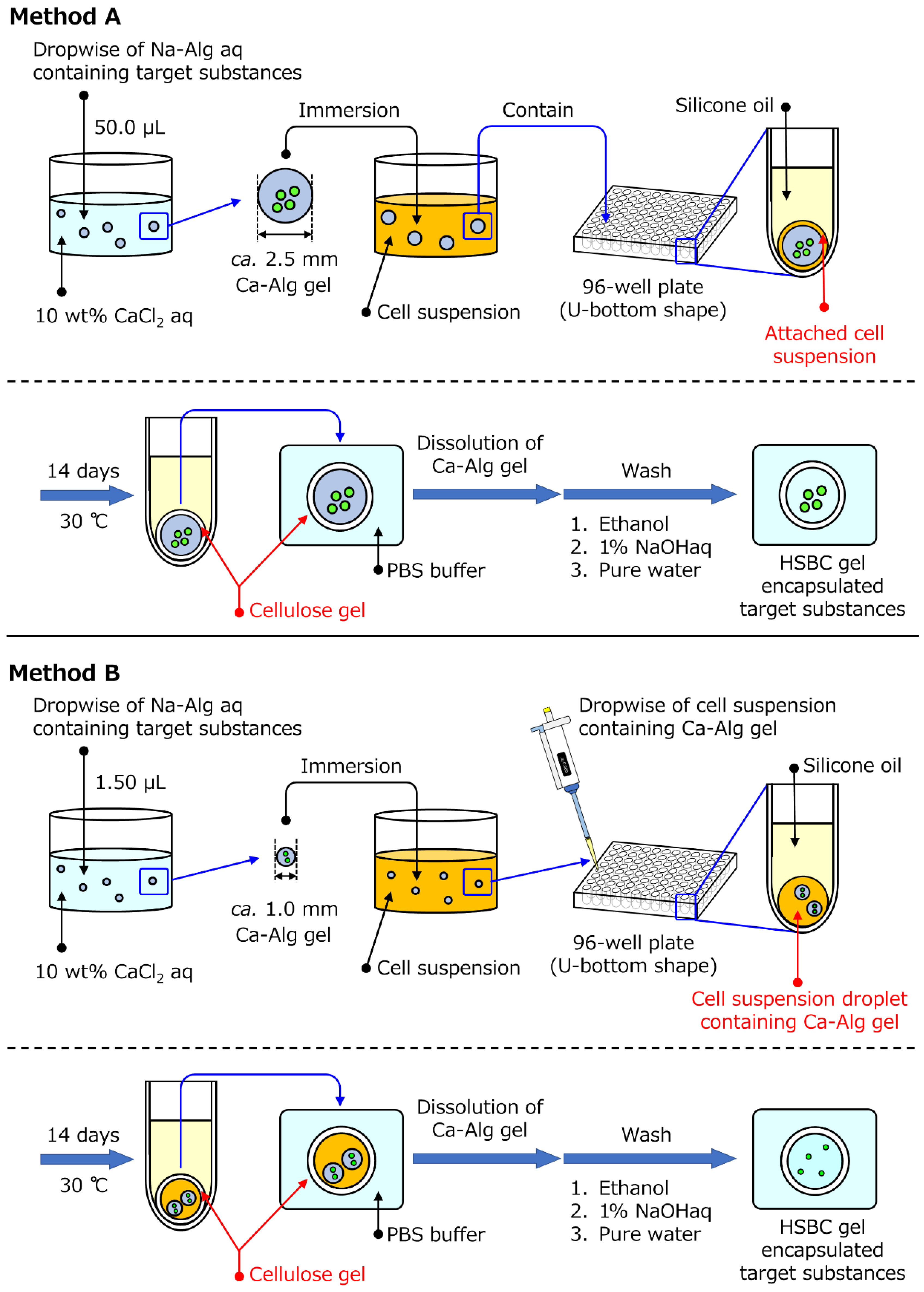 Ijms 20 04919 g001 Ijms 20 04919 g001