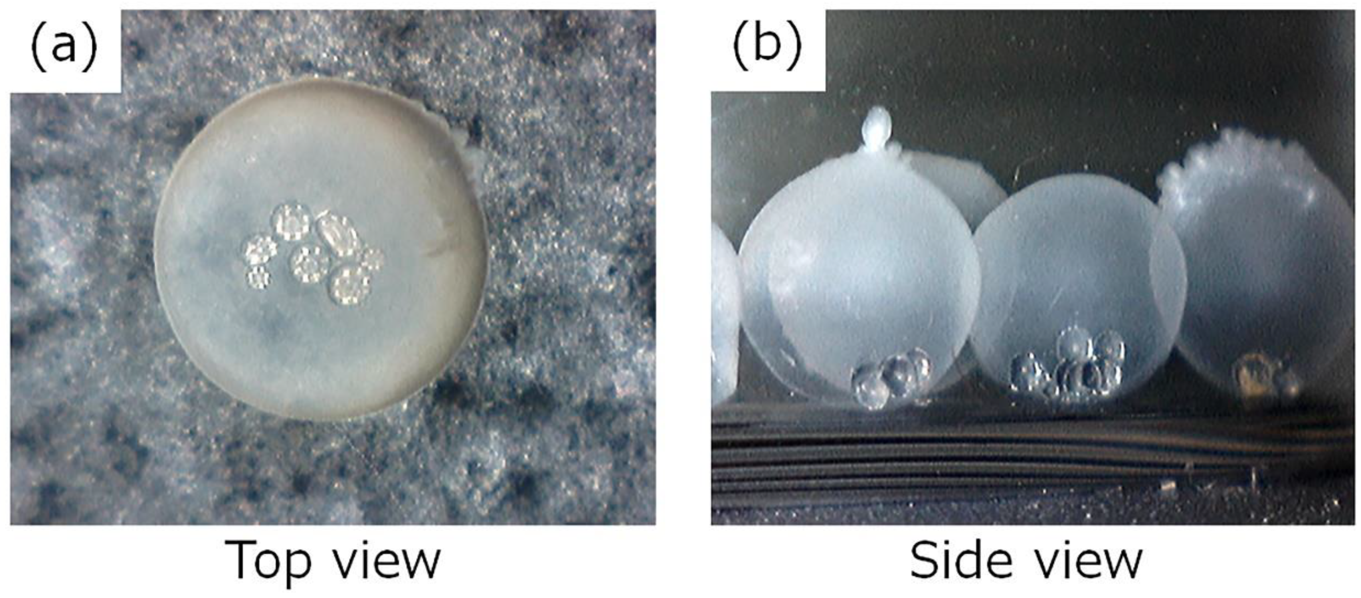 Ijms 20 04919 g003 Ijms 20 04919 g003