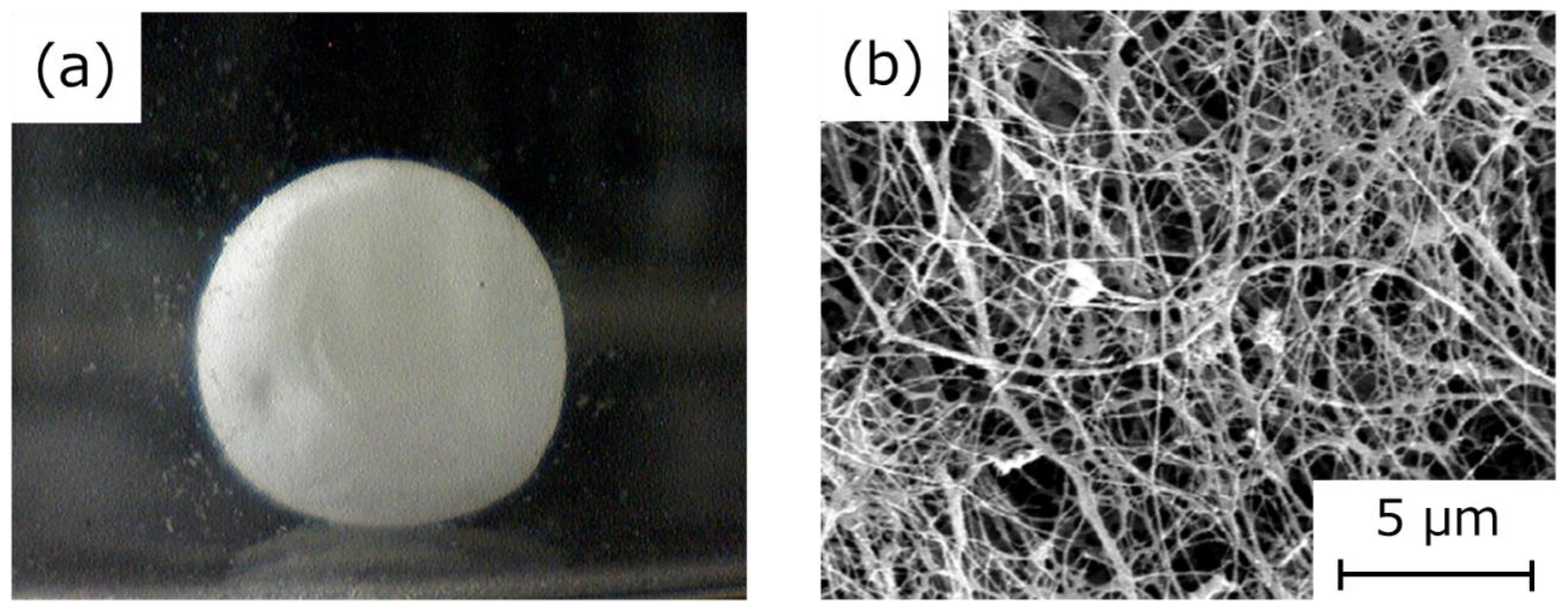 Ijms 20 04919 g005 Ijms 20 04919 g005