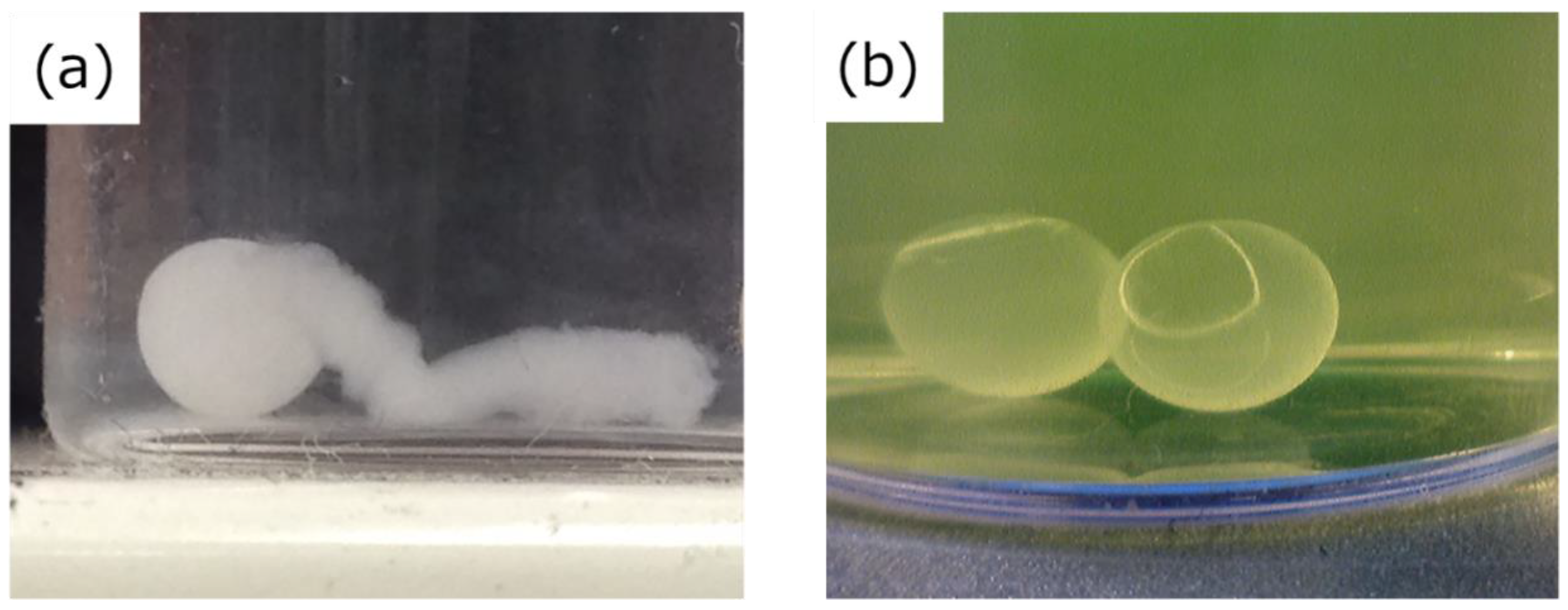 Ijms 20 04919 g006 Ijms 20 04919 g006