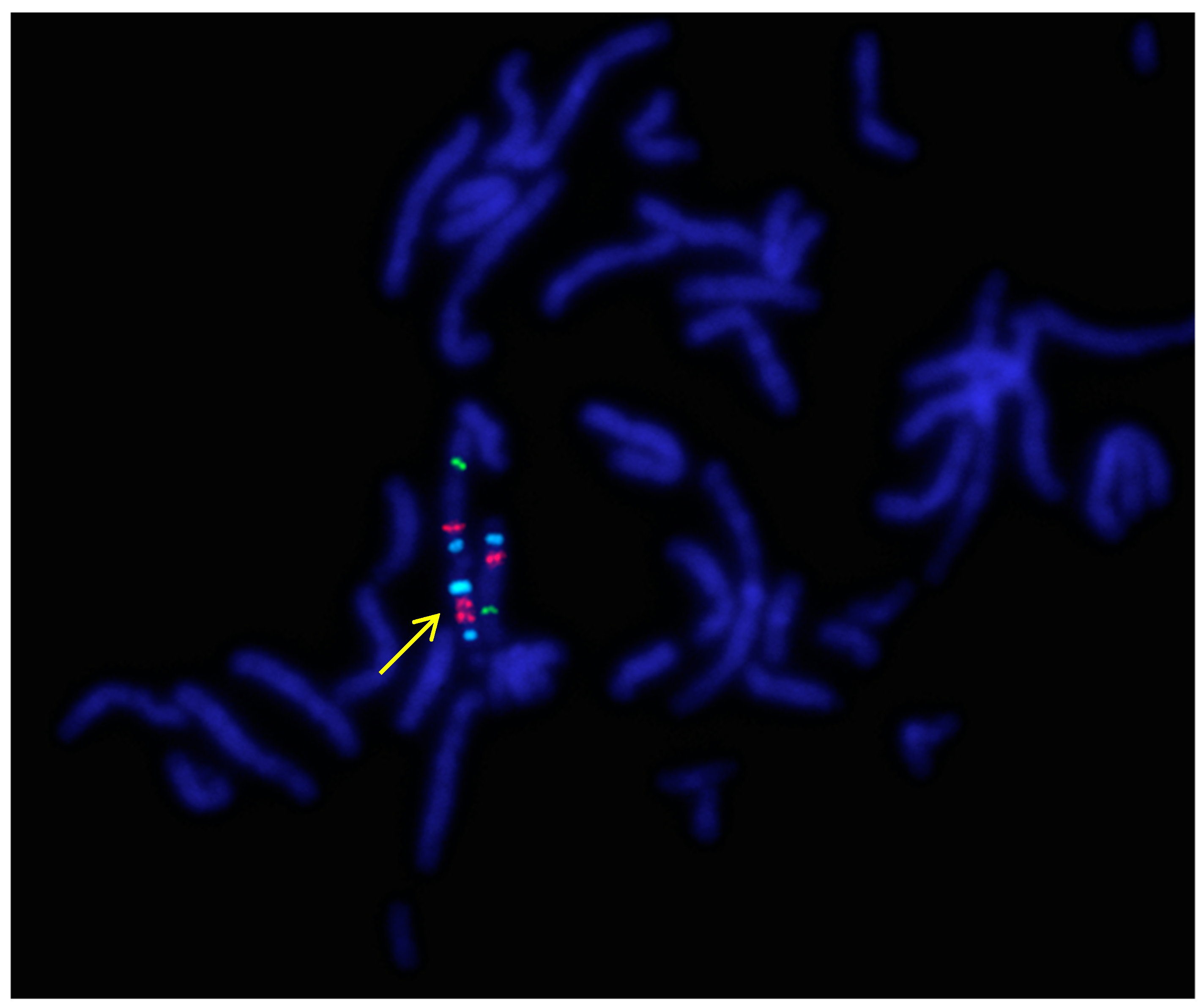 Ijms 20 04935 g001