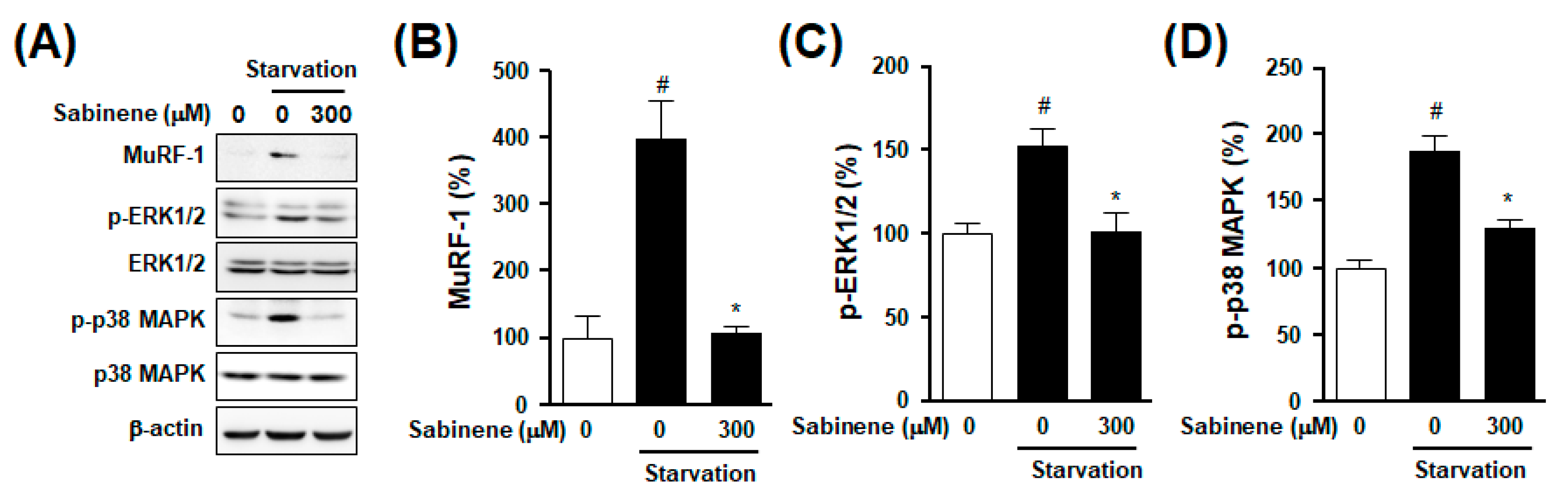 Ijms 20 04955 g004 Ijms 20 04955 g004