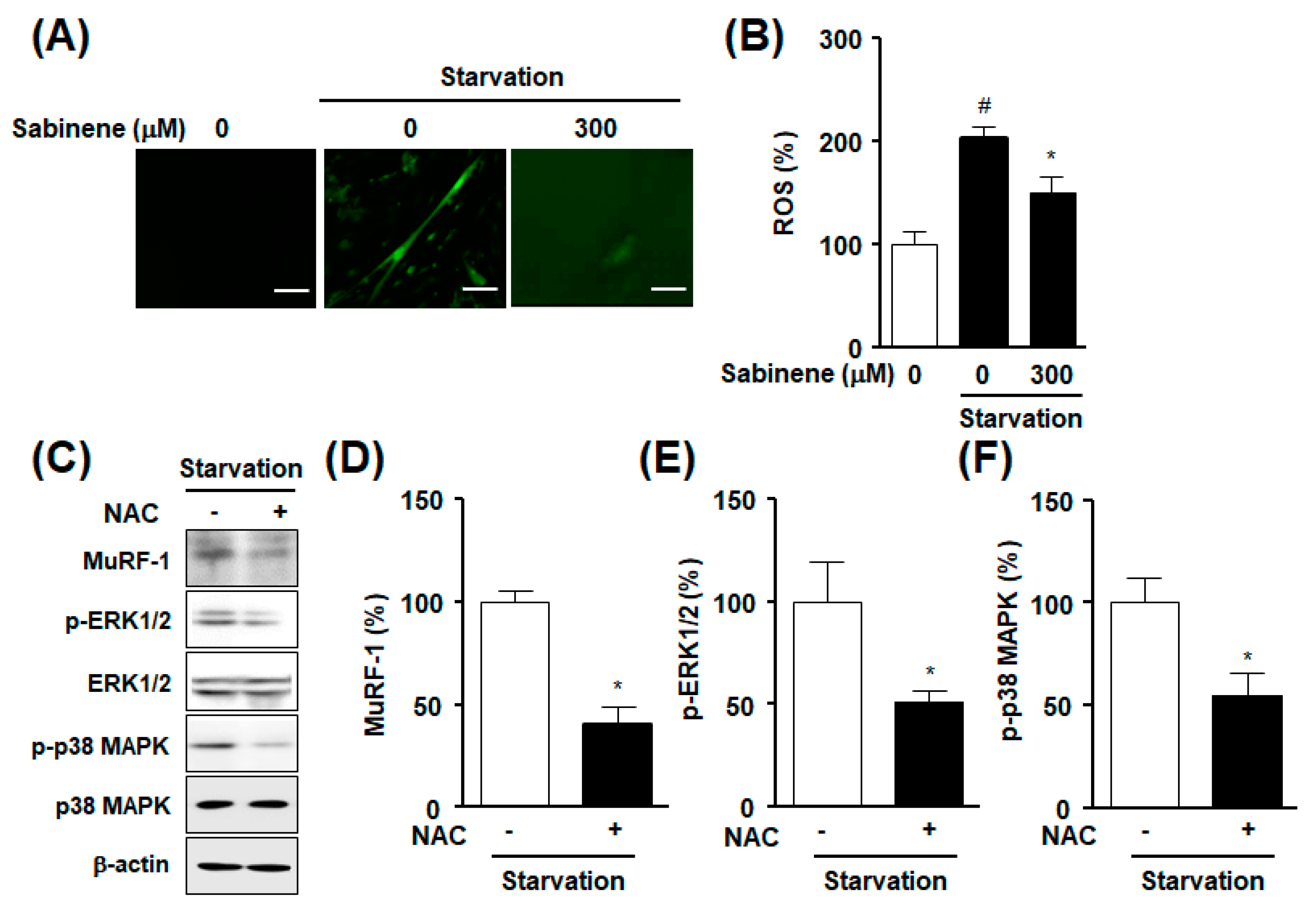 Ijms 20 04955 g005 Ijms 20 04955 g005