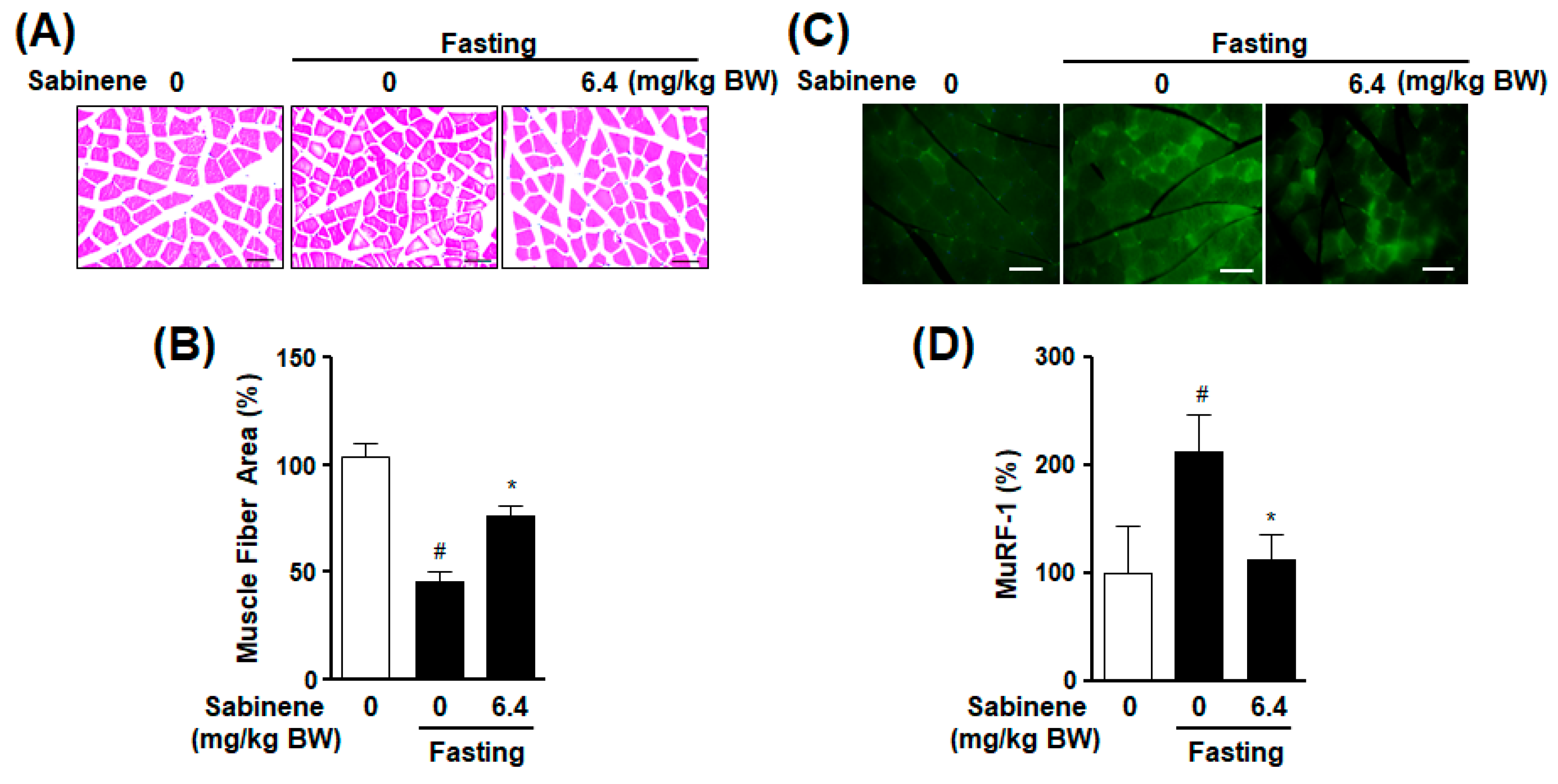 Ijms 20 04955 g006 Ijms 20 04955 g006