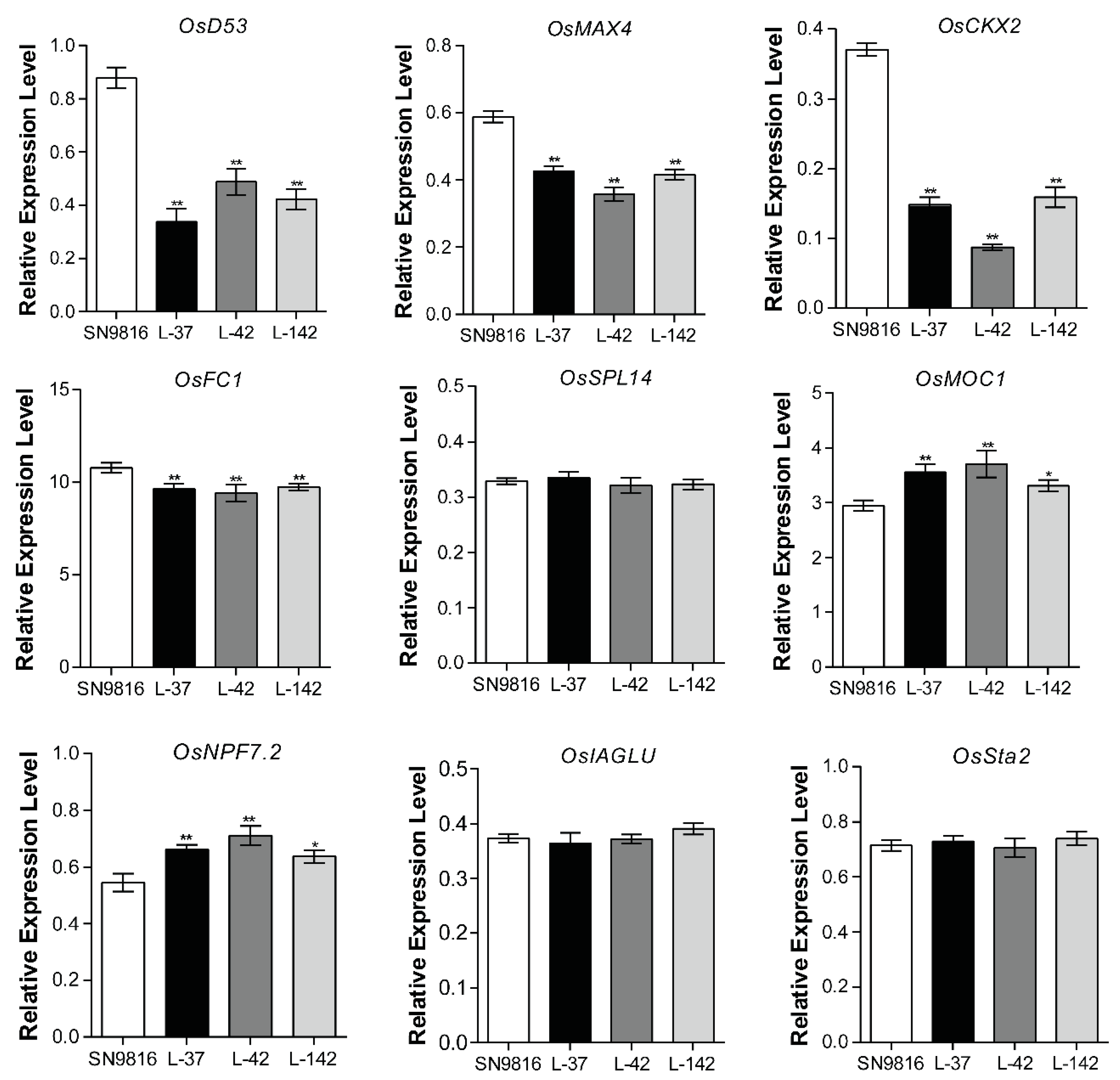 Ijms 20 04956 g003 Ijms 20 04956 g003