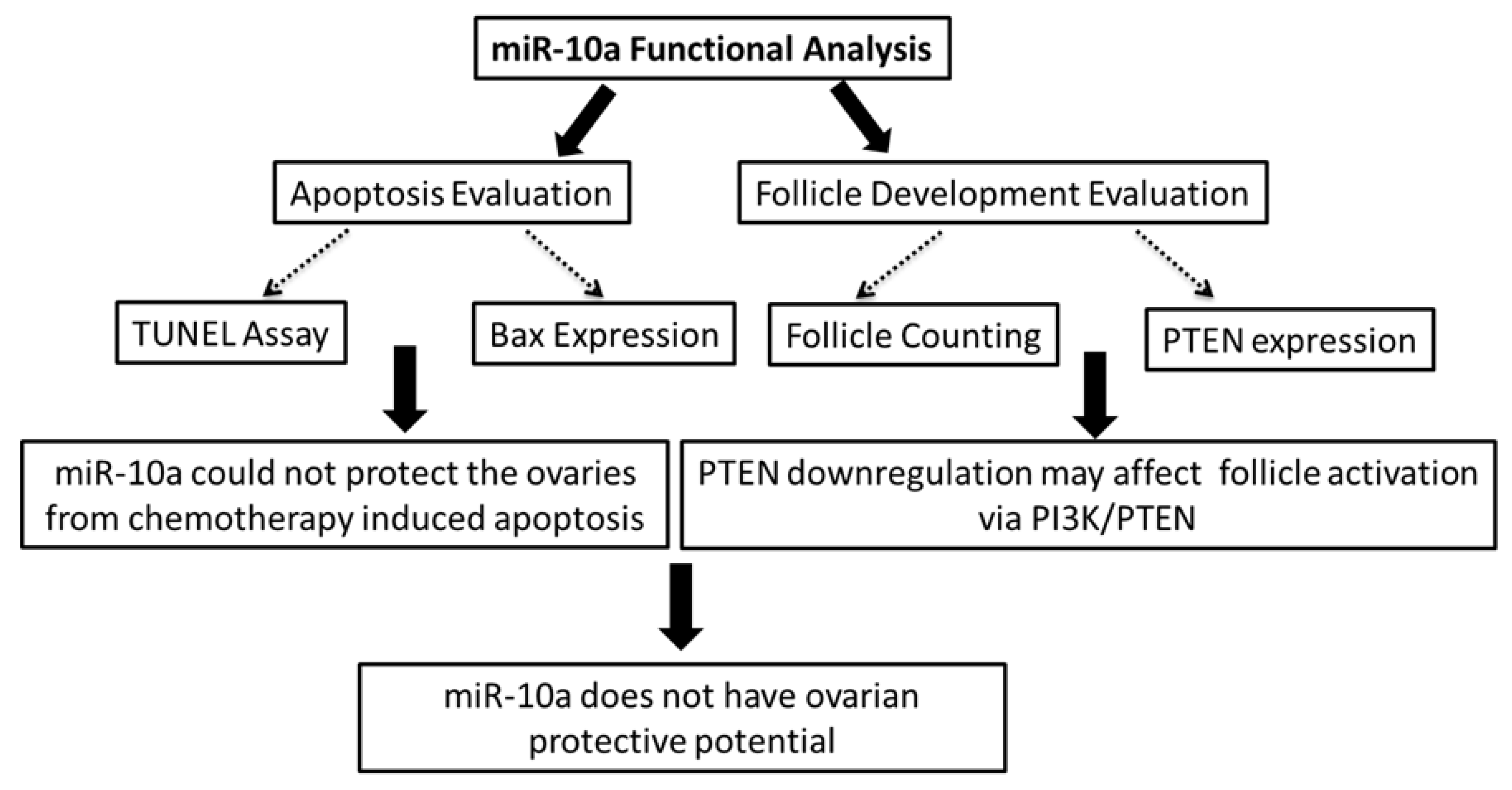 Ijms 20 04958 g005