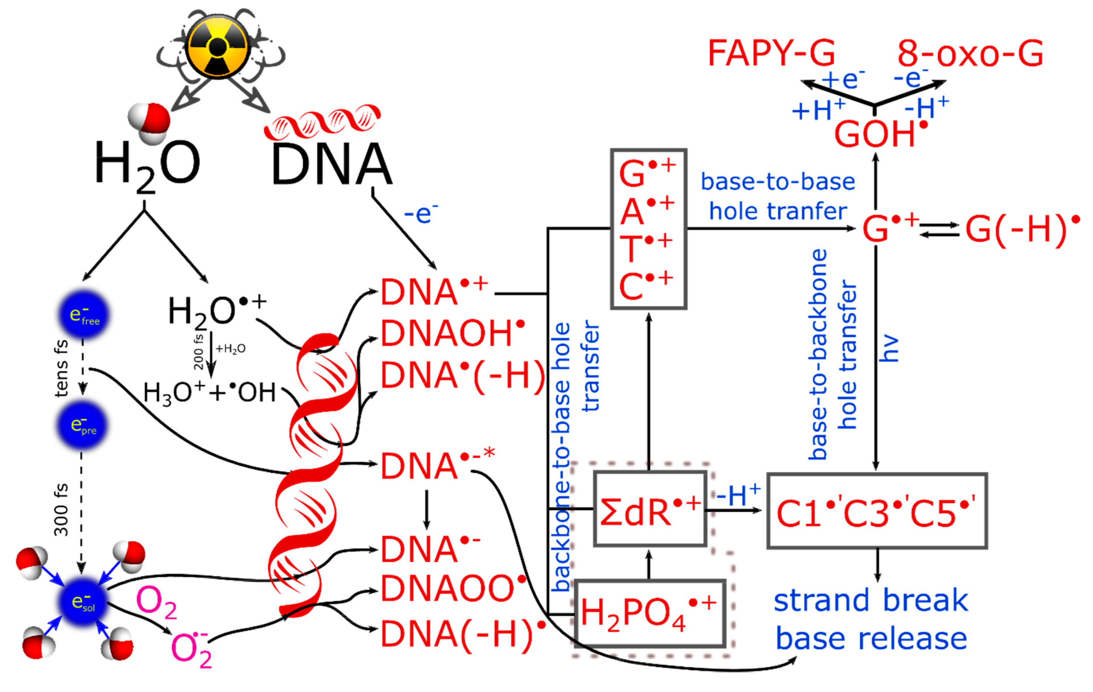 Ijms 20 04963 sch001