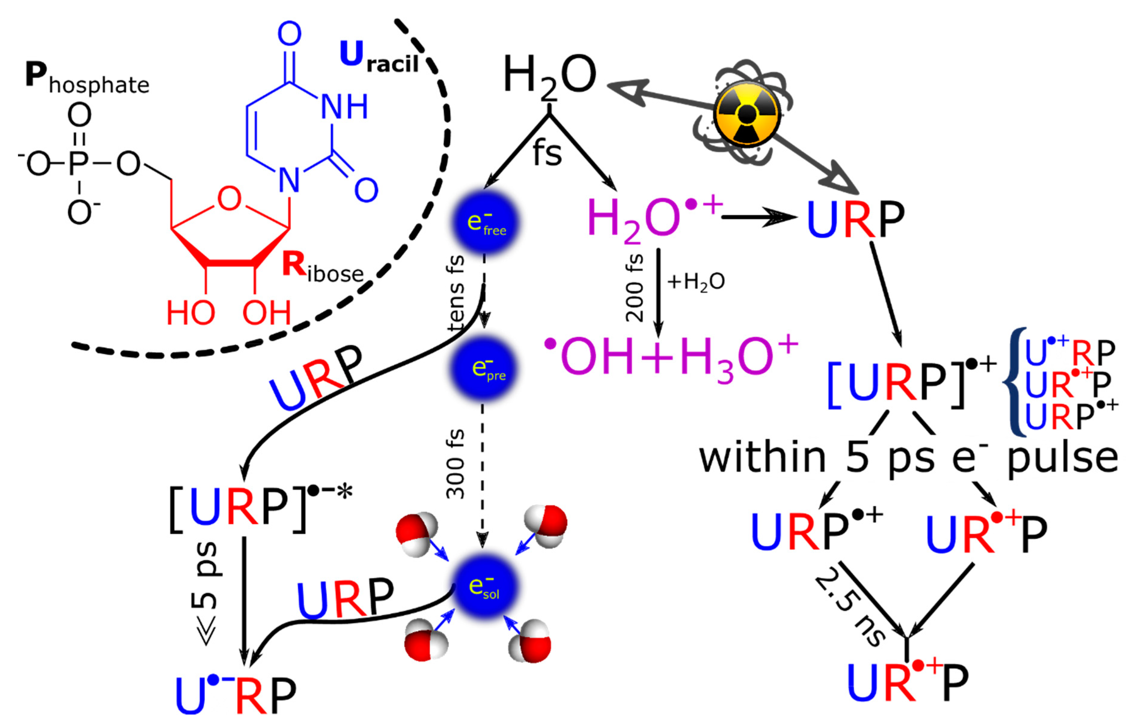Ijms 20 04963 sch002