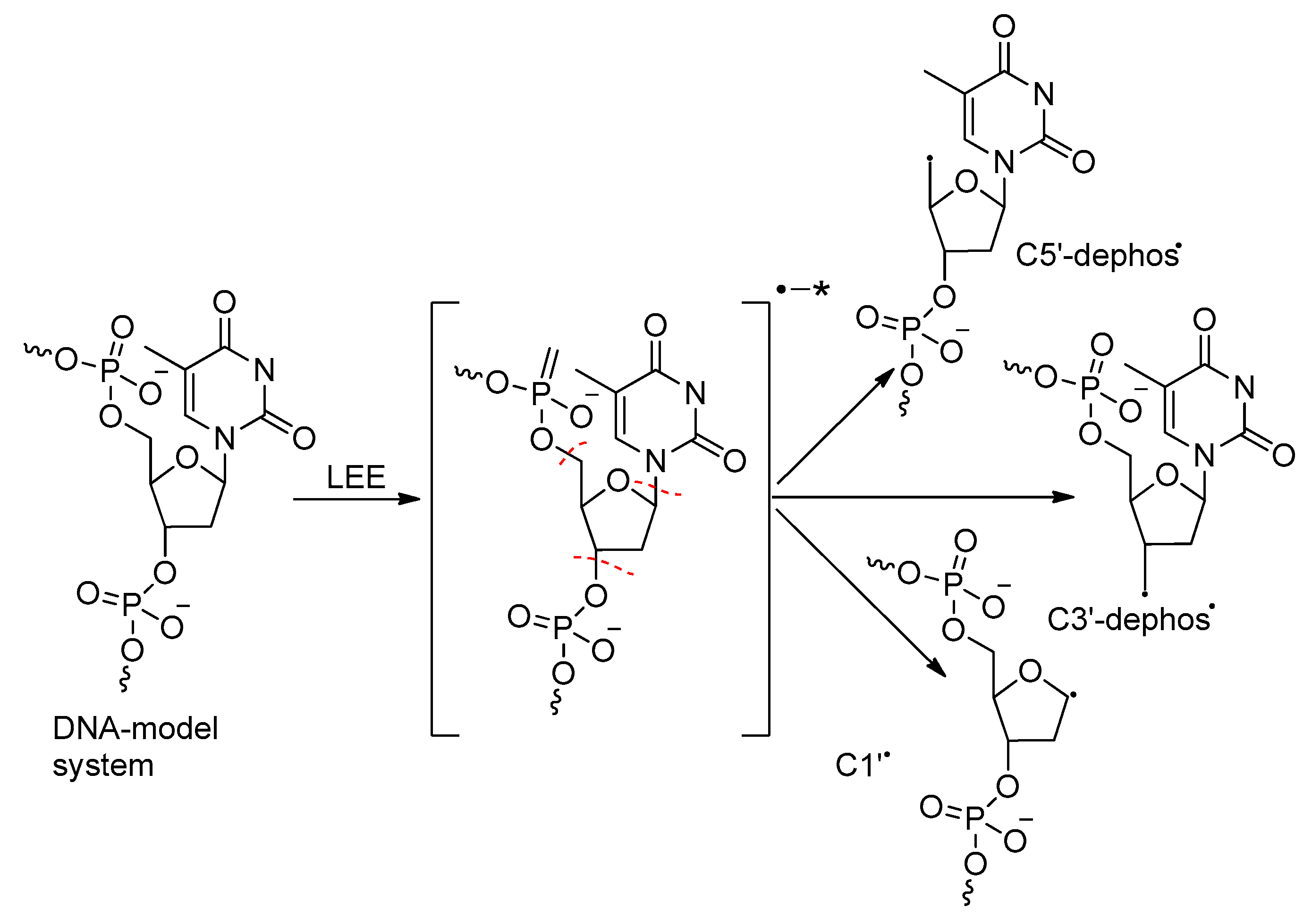 Ijms 20 04963 sch004