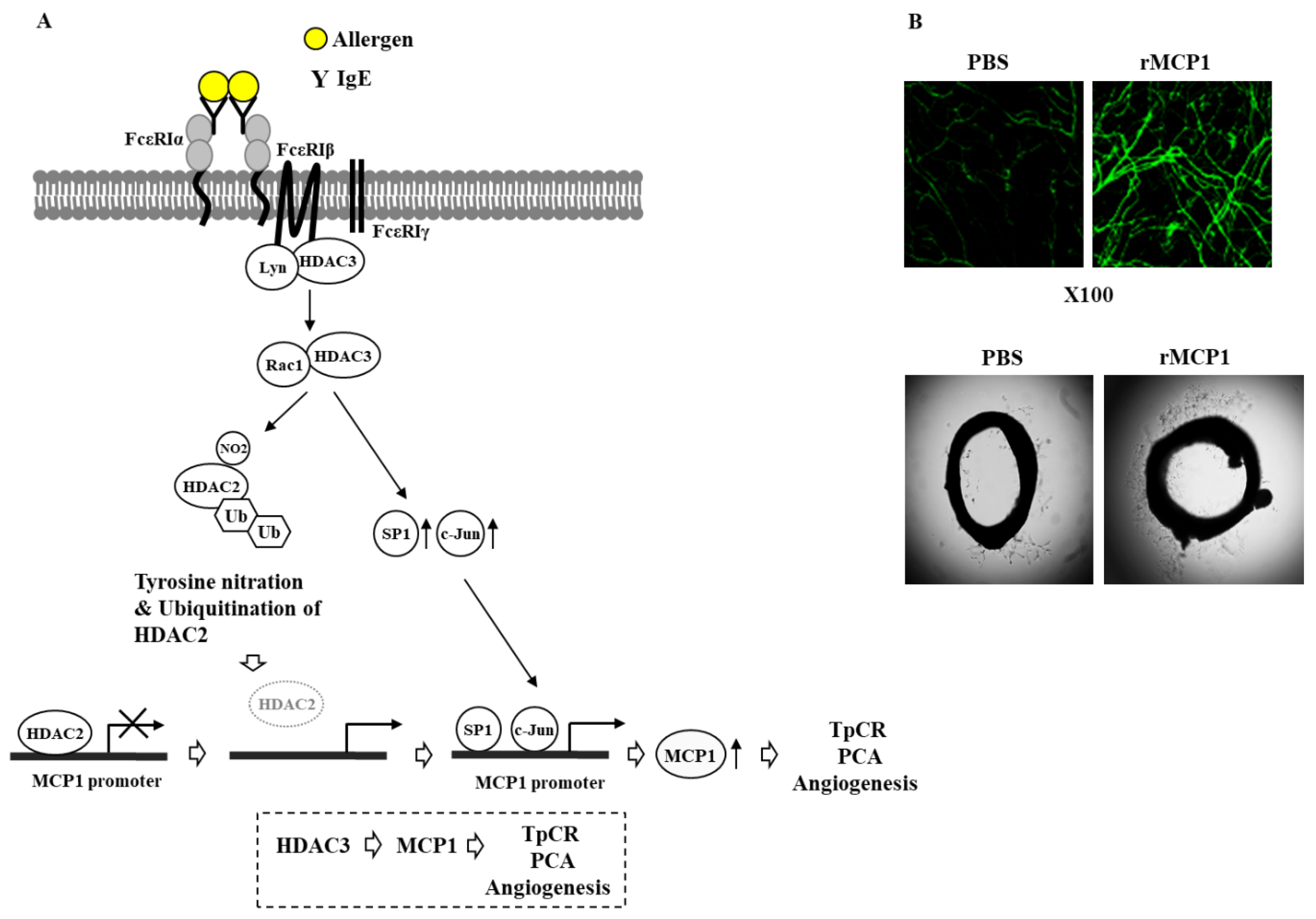 Ijms 20 04964 g002