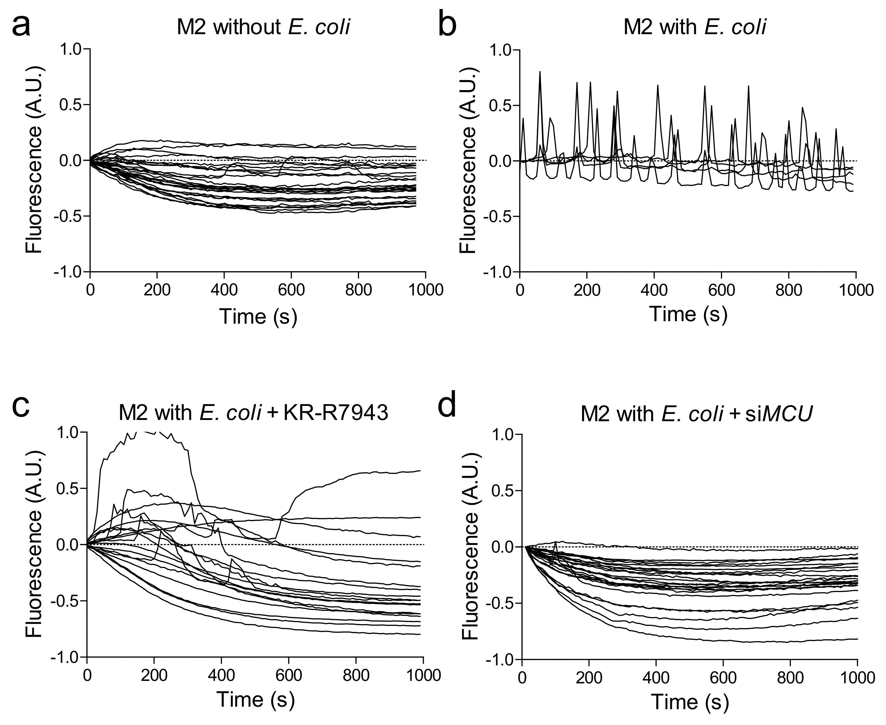 Ijms 20 04966 g002 Ijms 20 04966 g002