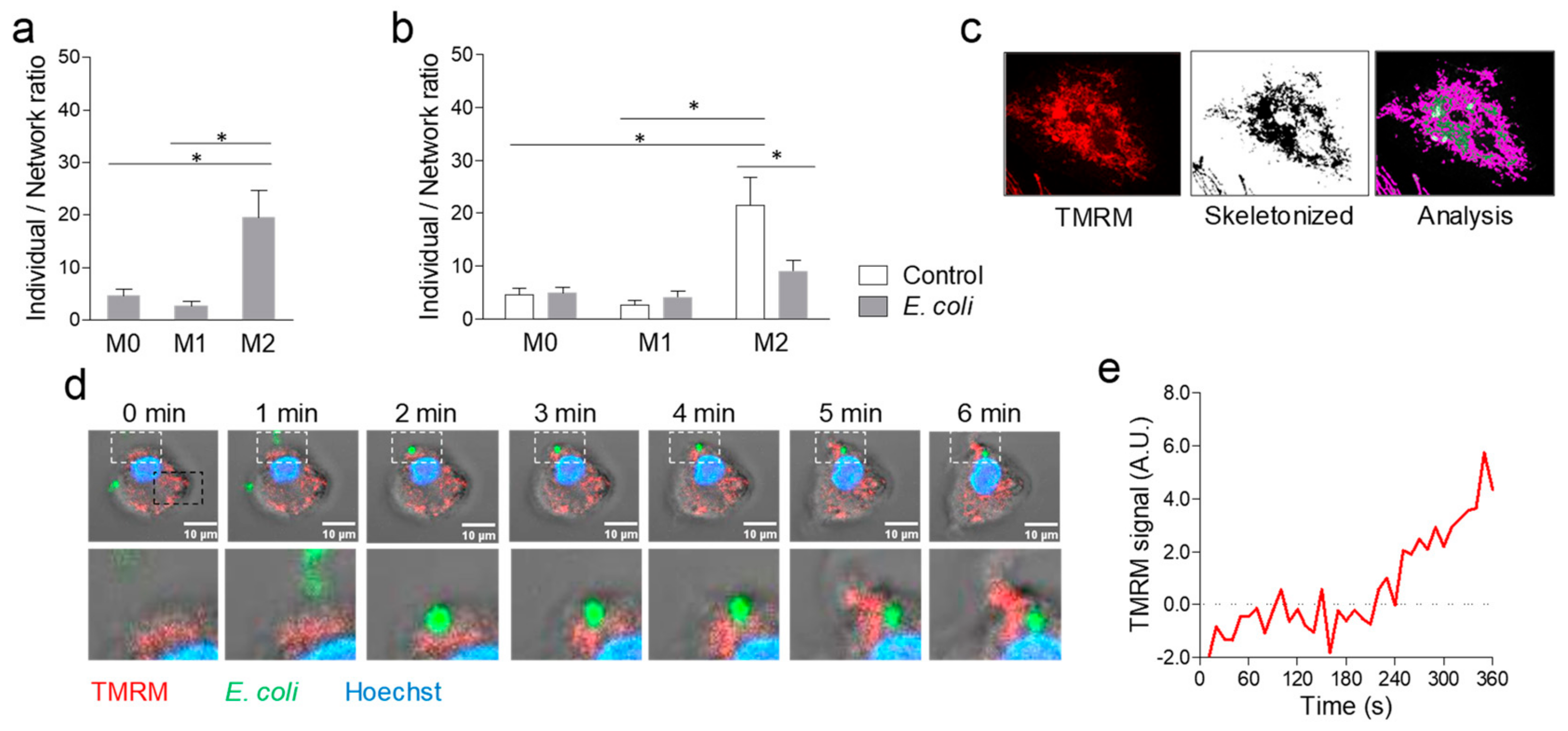 Ijms 20 04966 g003 Ijms 20 04966 g003