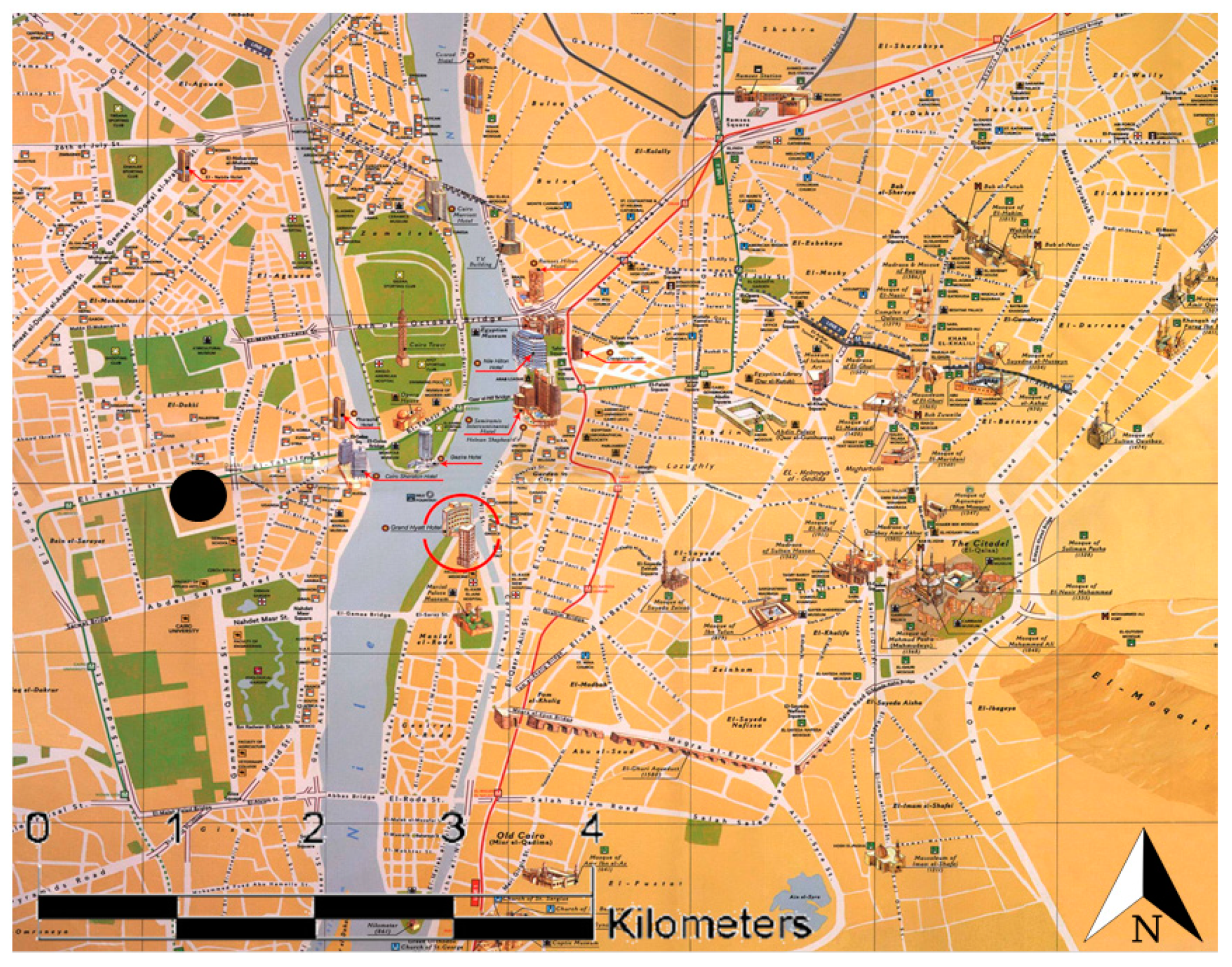 Ijms 20 04970 g008 Ijms 20 04970 g008