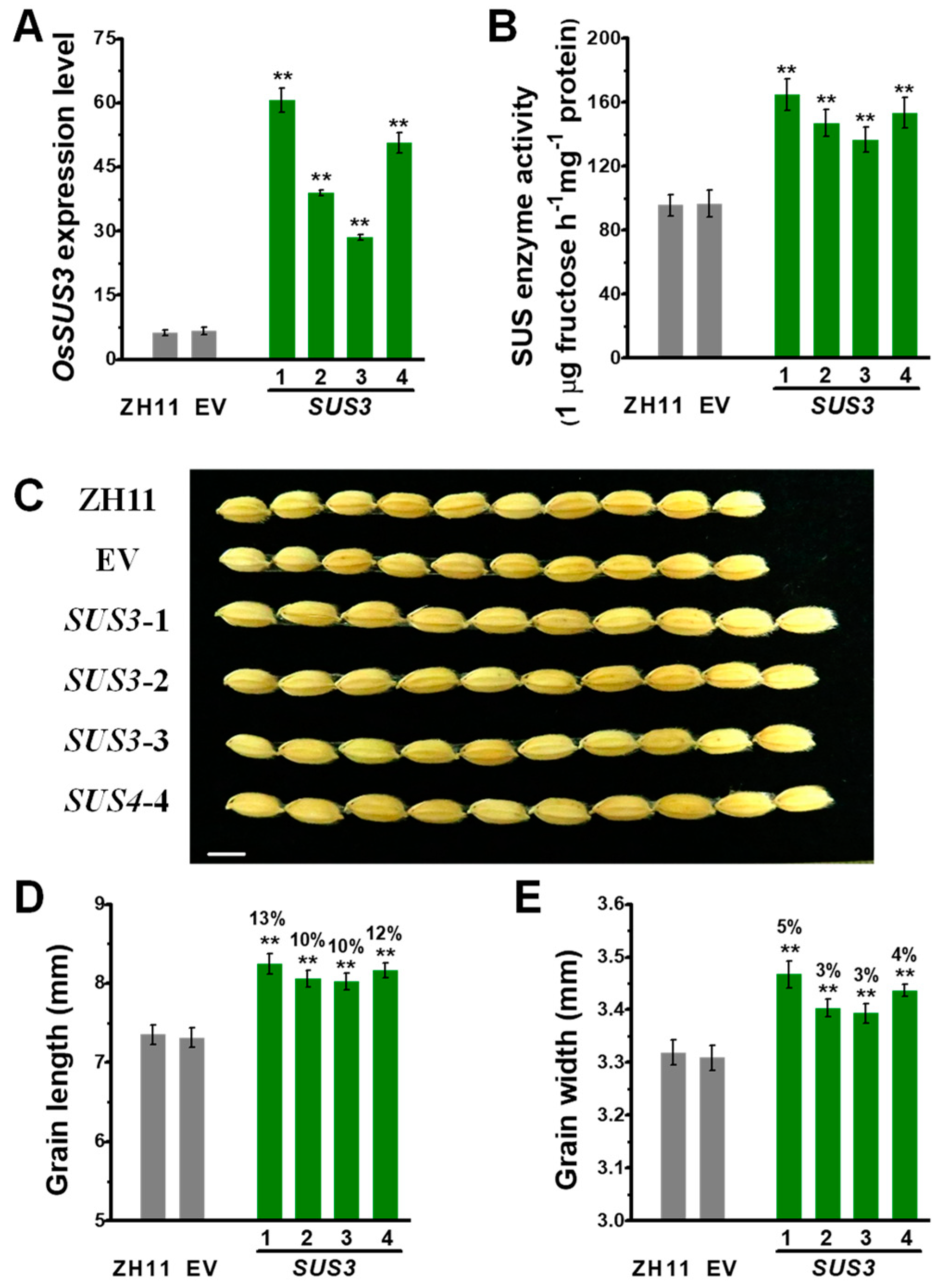 Ijms 20 04971 g003