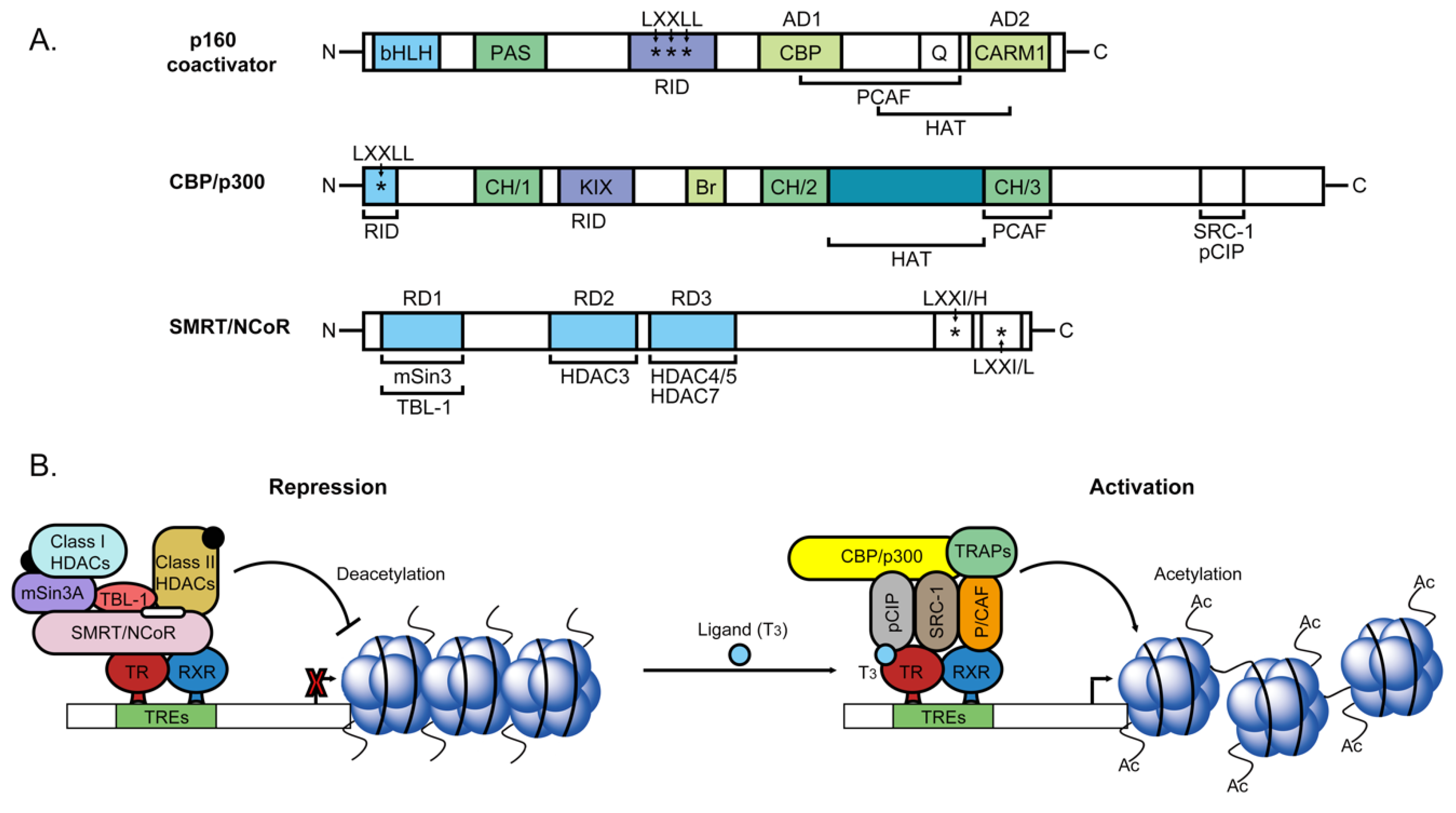 Ijms 20 04986 g003