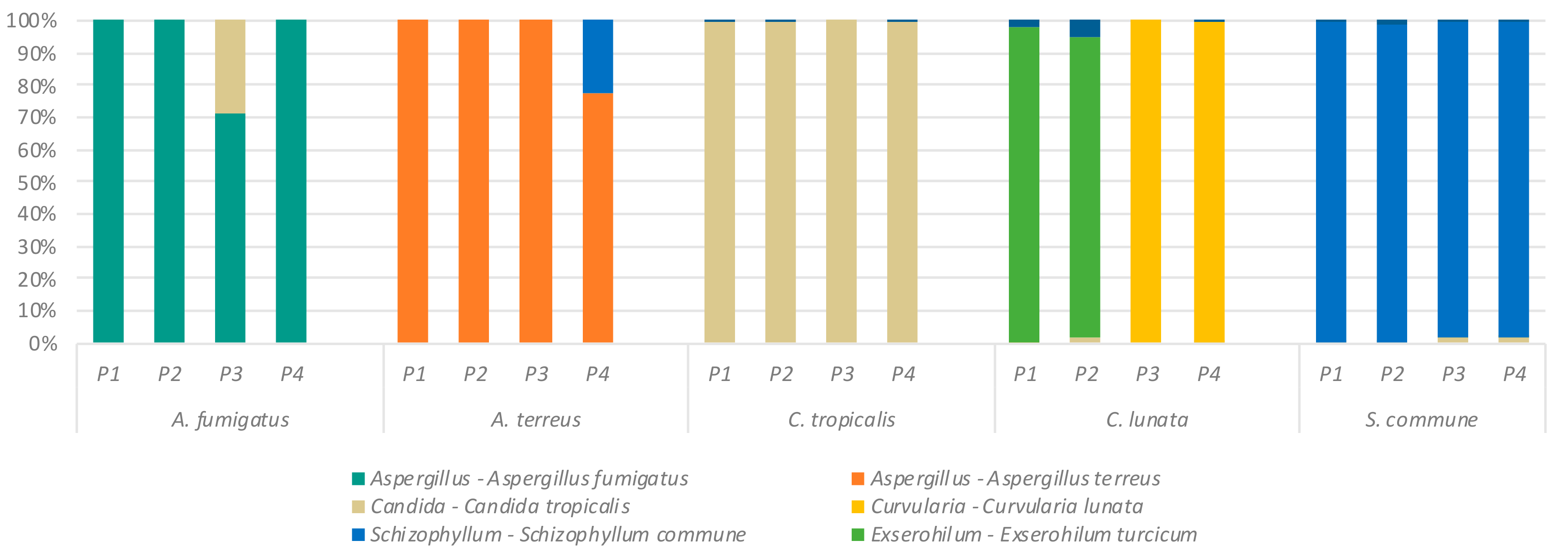 Ijms 20 04991 g002 Ijms 20 04991 g002