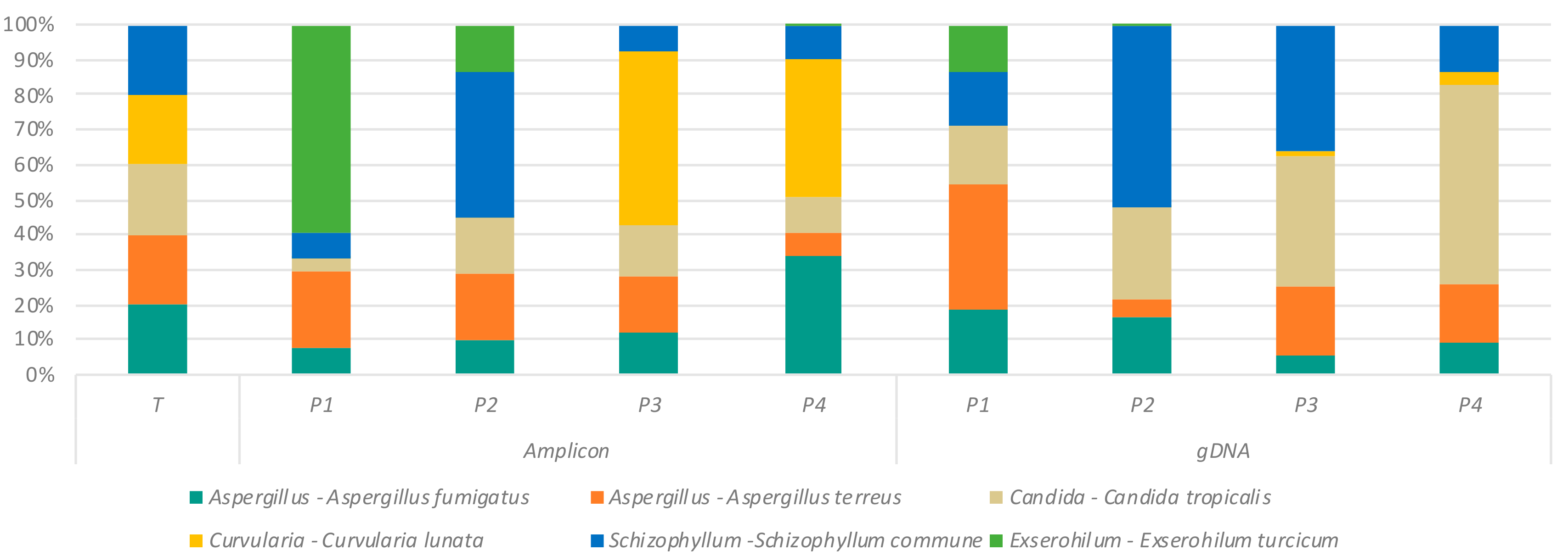 Ijms 20 04991 g003 Ijms 20 04991 g003