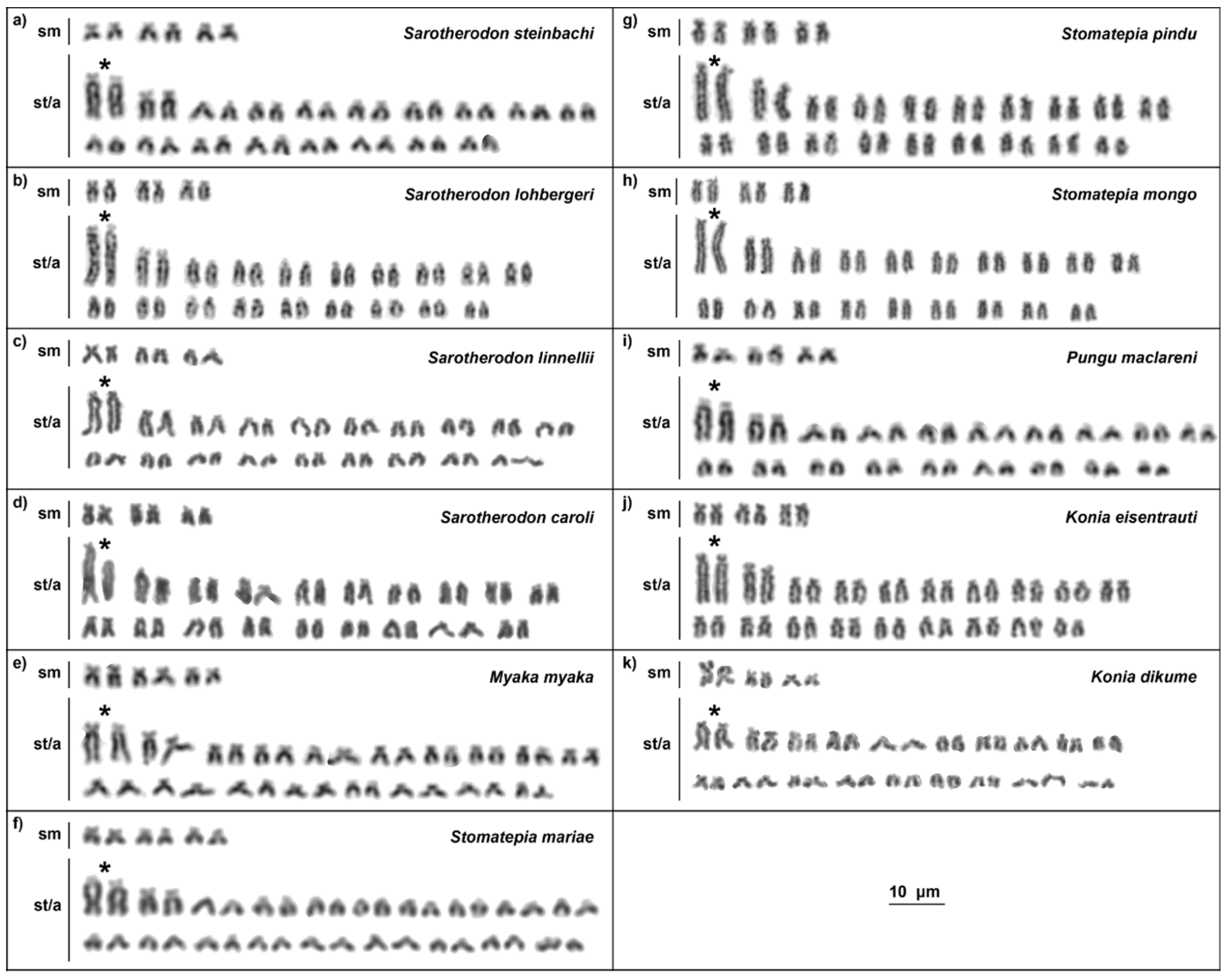 Ijms 20 04994 g002
