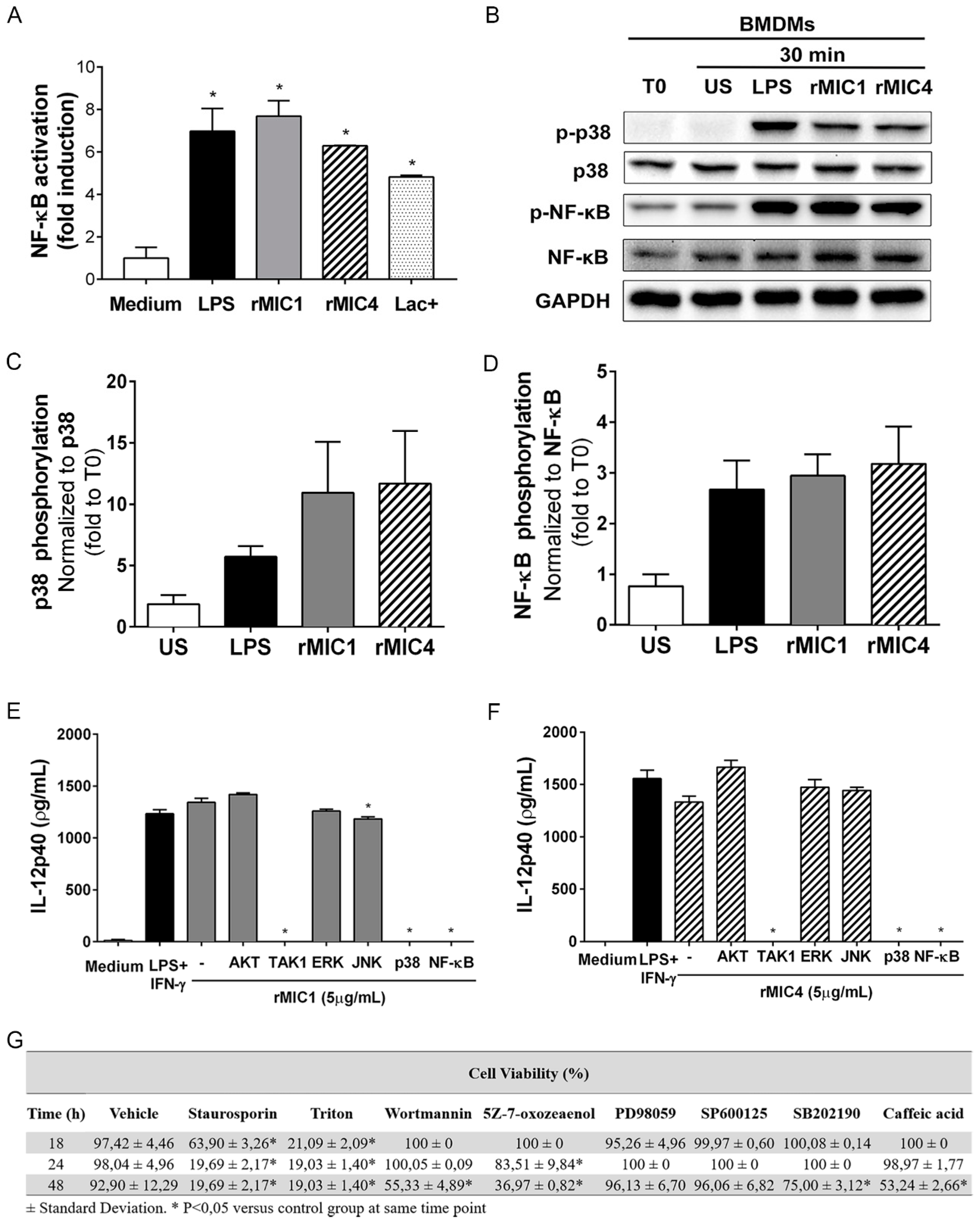 Ijms Free Full Text Receptor Heterodimerization And Co Receptor Engagement In Tlr2 Activation Induced By Mic1 And Mic4 From Toxoplasma Gondii Html