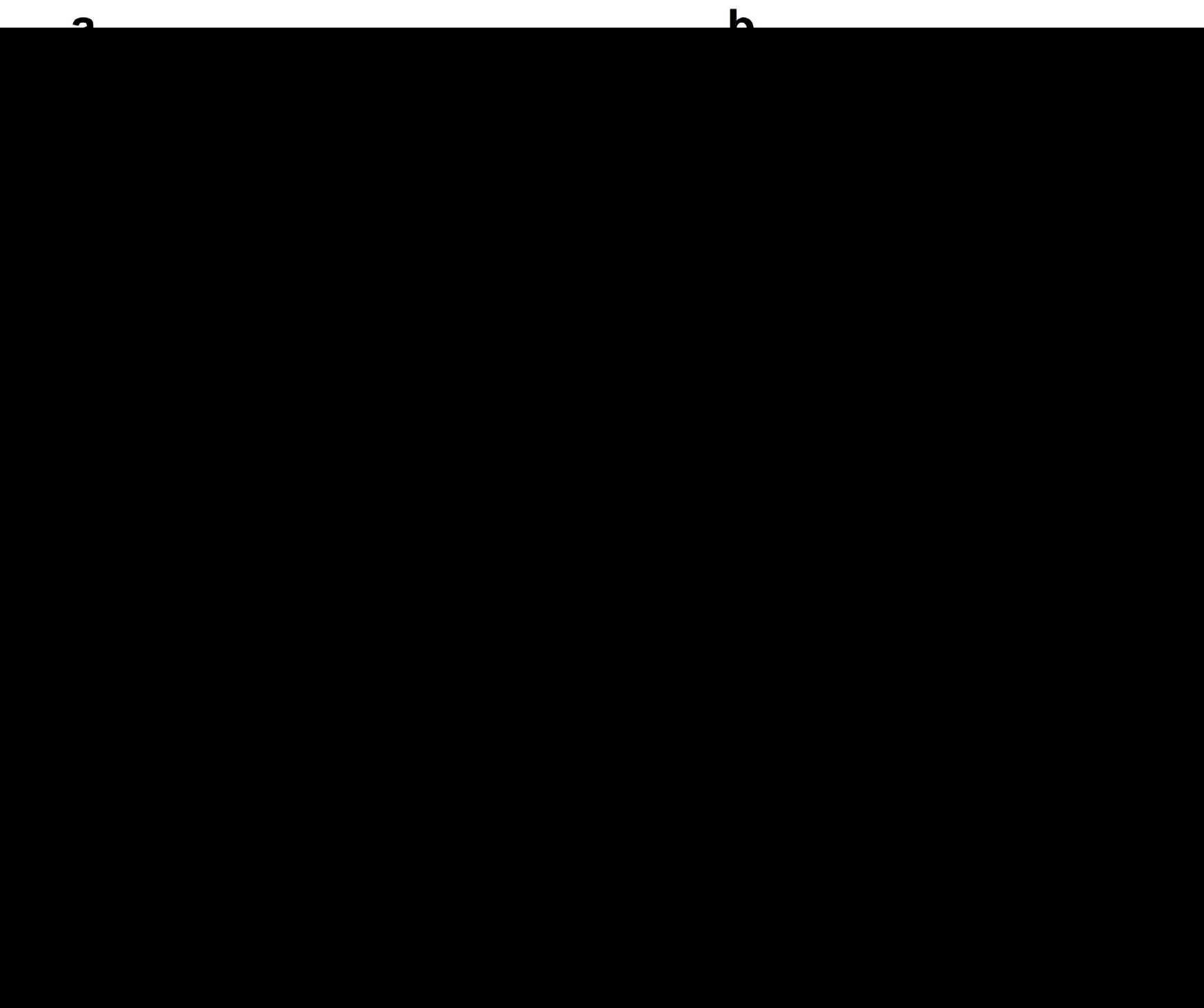Ijms 20 05003 g005