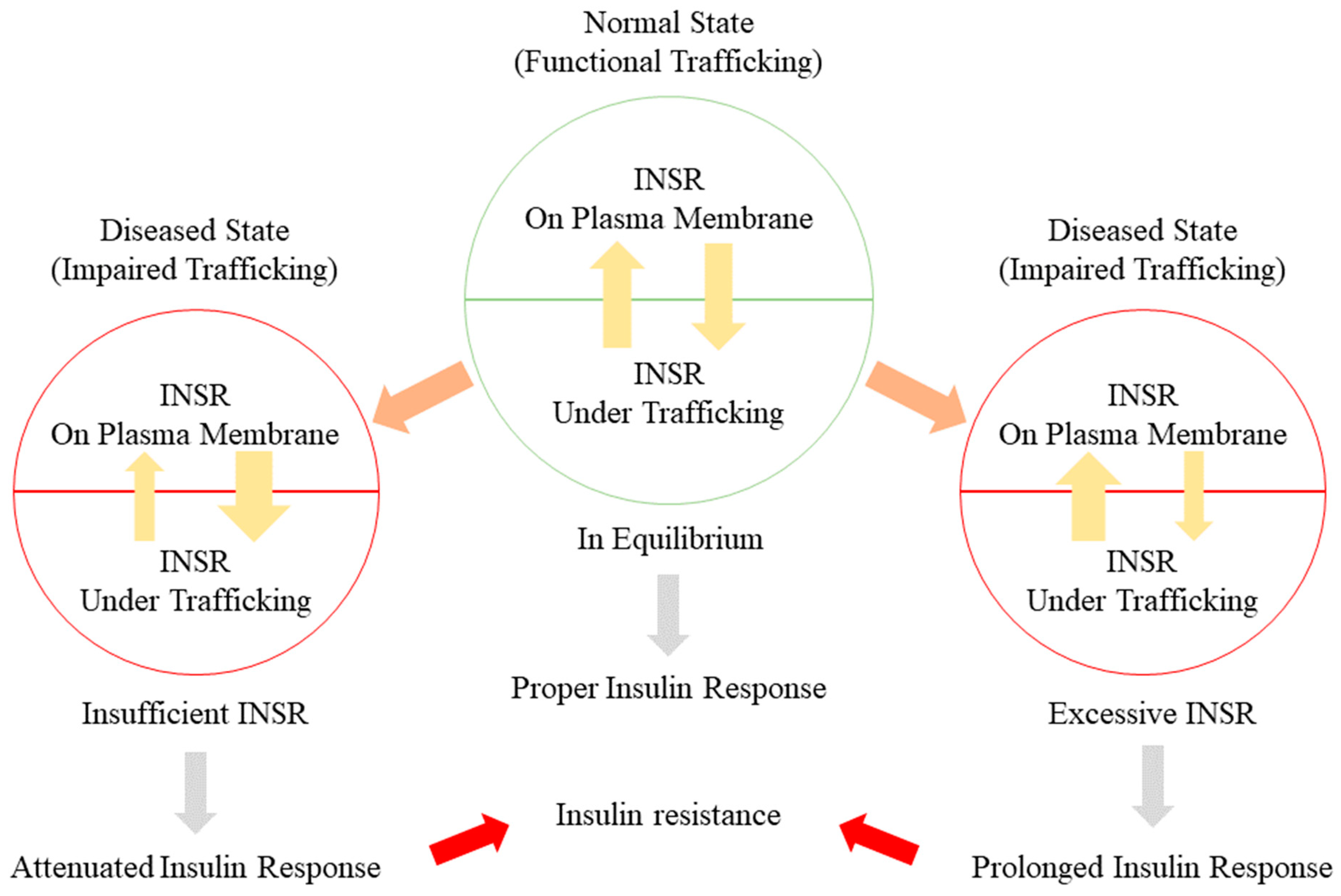 Revisiting the classification of NIR-absorbing/emitting