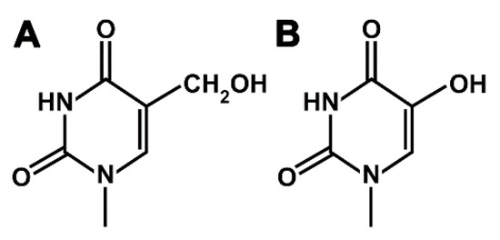 Hmud Example Data Translesion DNA Synthesis Across Lesions Induced by Oxidative Products ...