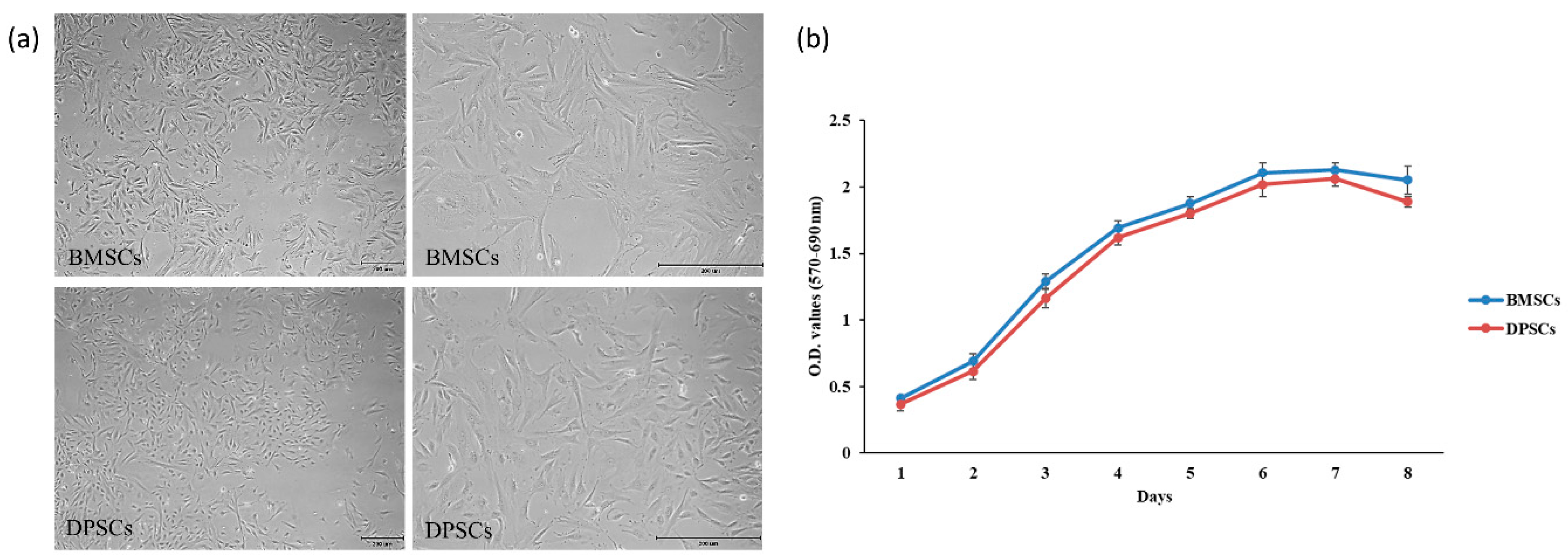 Ijms Free Full Text Comparing The Osteogenic Potentials And Bone Regeneration Capacities Of Bone Marrow And Dental Pulp Mesenchymal Stem Cells In A Rabbit Calvarial Bone Defect Model Html