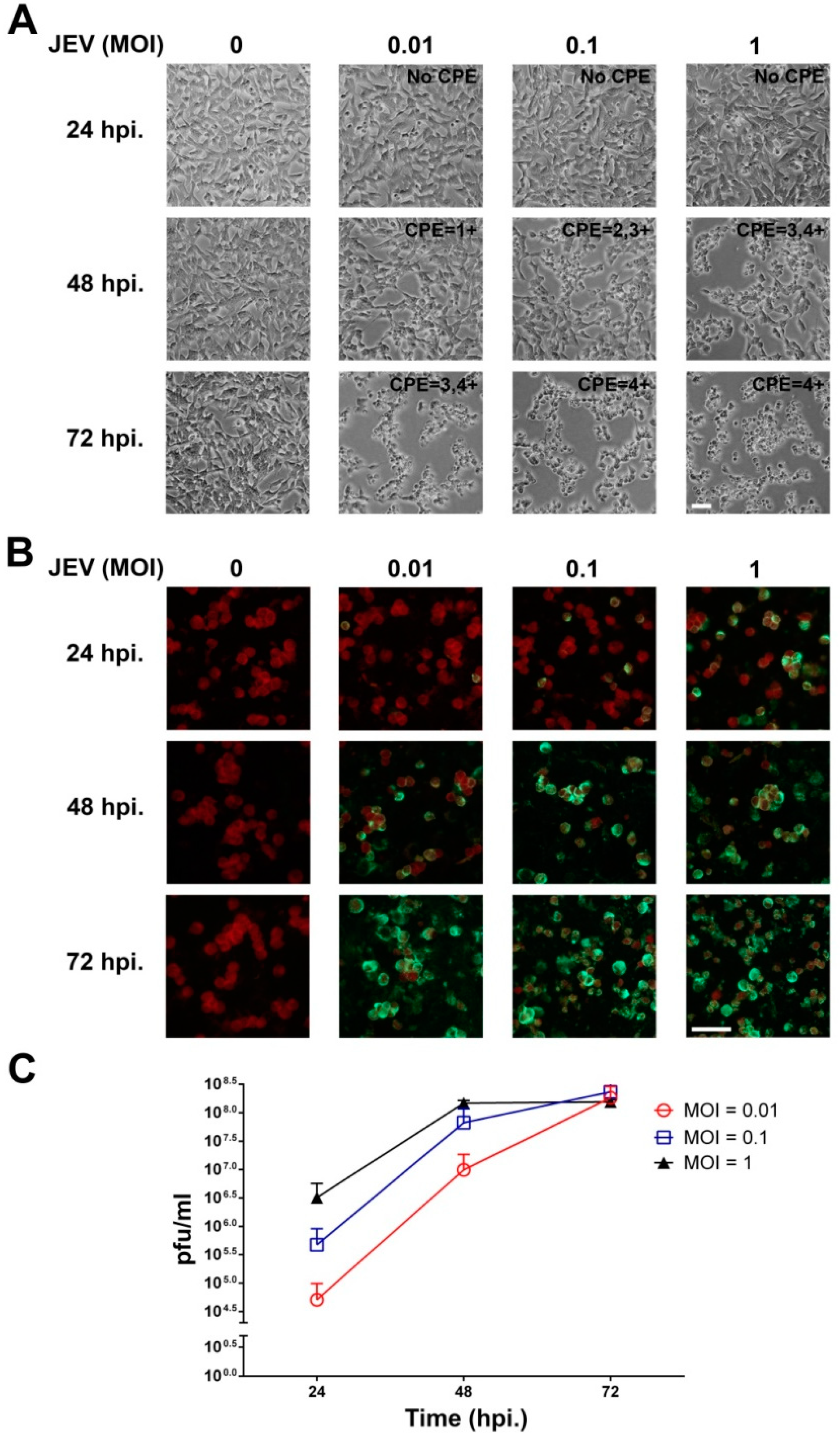 Ijms 20 05016 g001