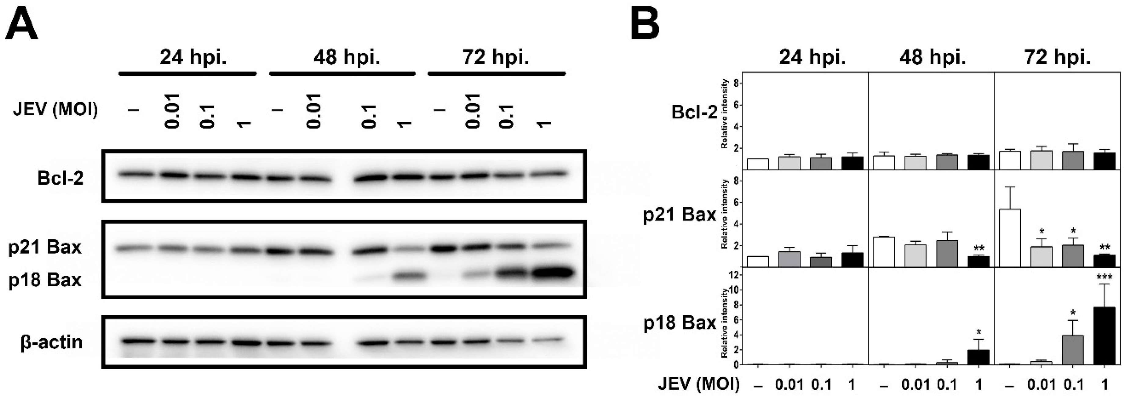 Ijms 20 05016 g004