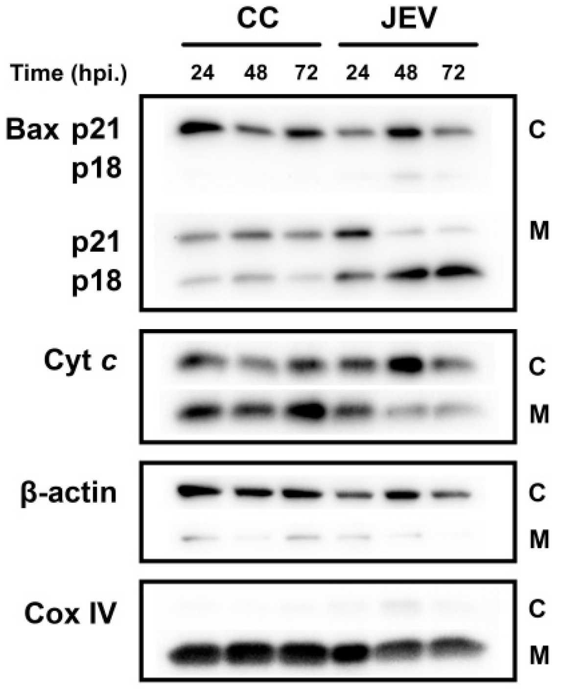 Ijms 20 05016 g005
