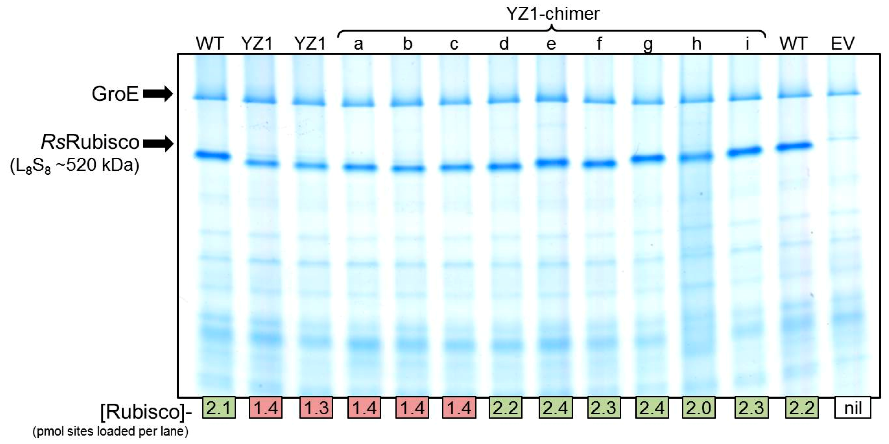 Ijms 20 05019 g006