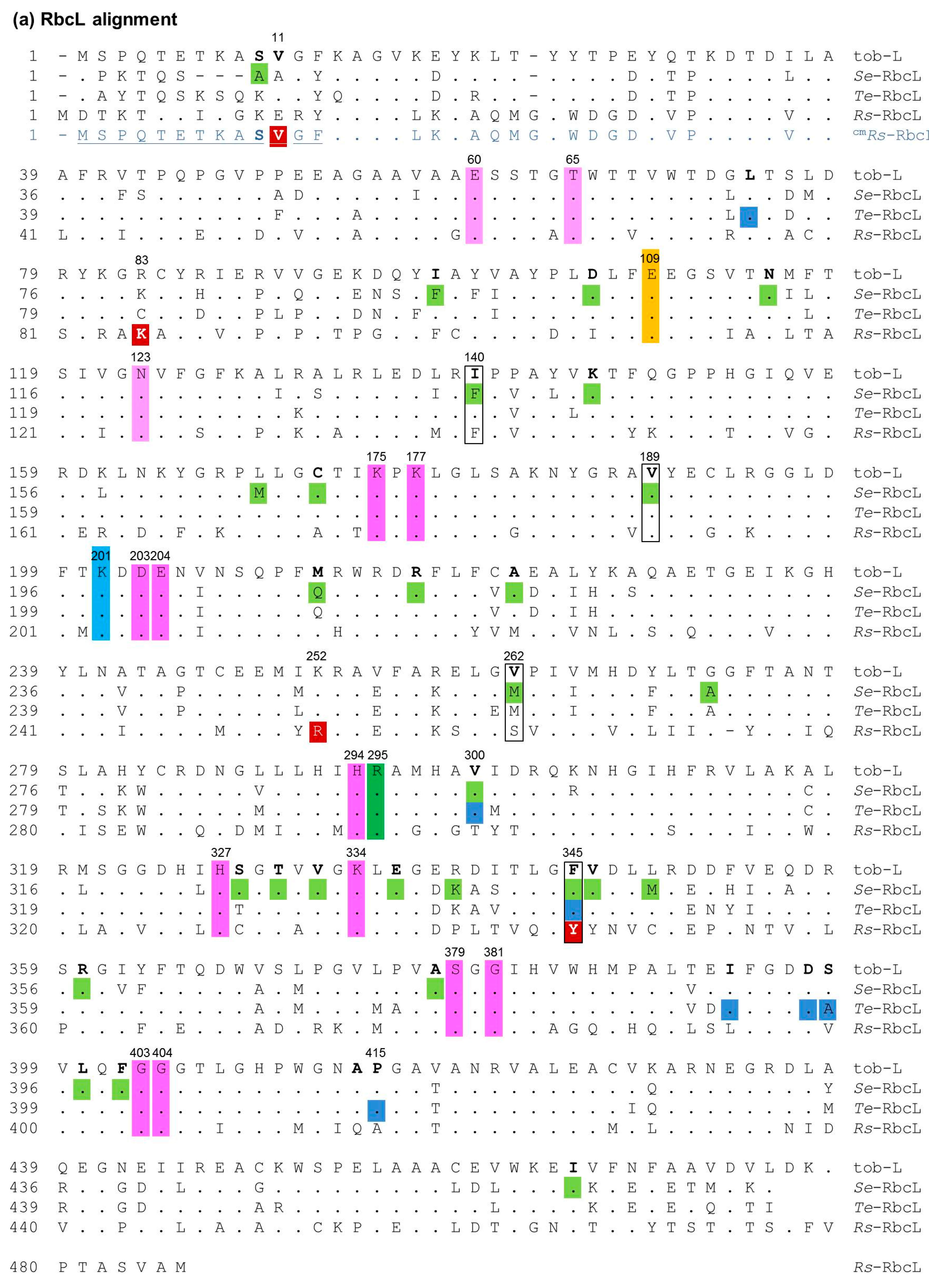 Ijms 20 05019 g0a1a