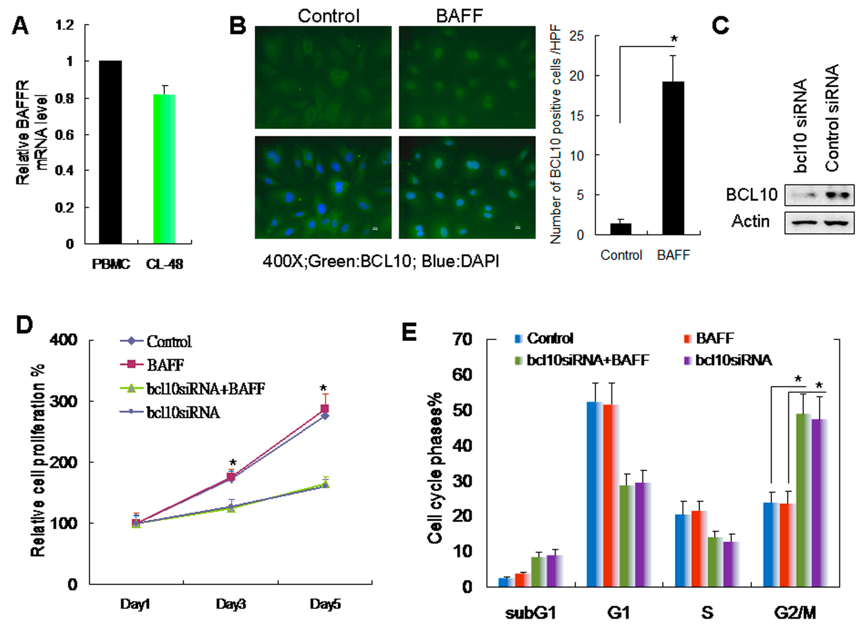 Ijms 20 05022 g002 Ijms 20 05022 g002
