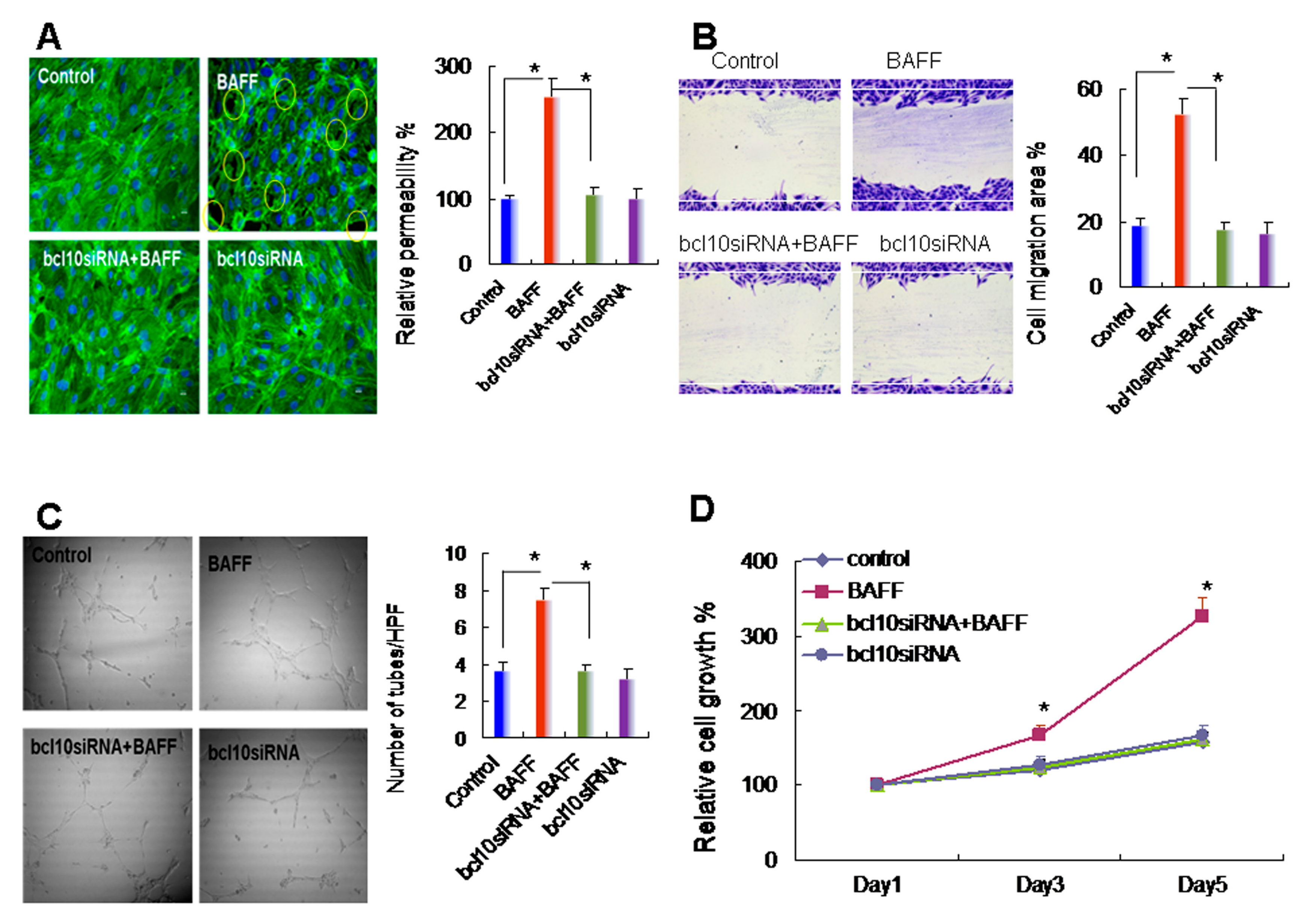 Ijms 20 05022 g003 Ijms 20 05022 g003