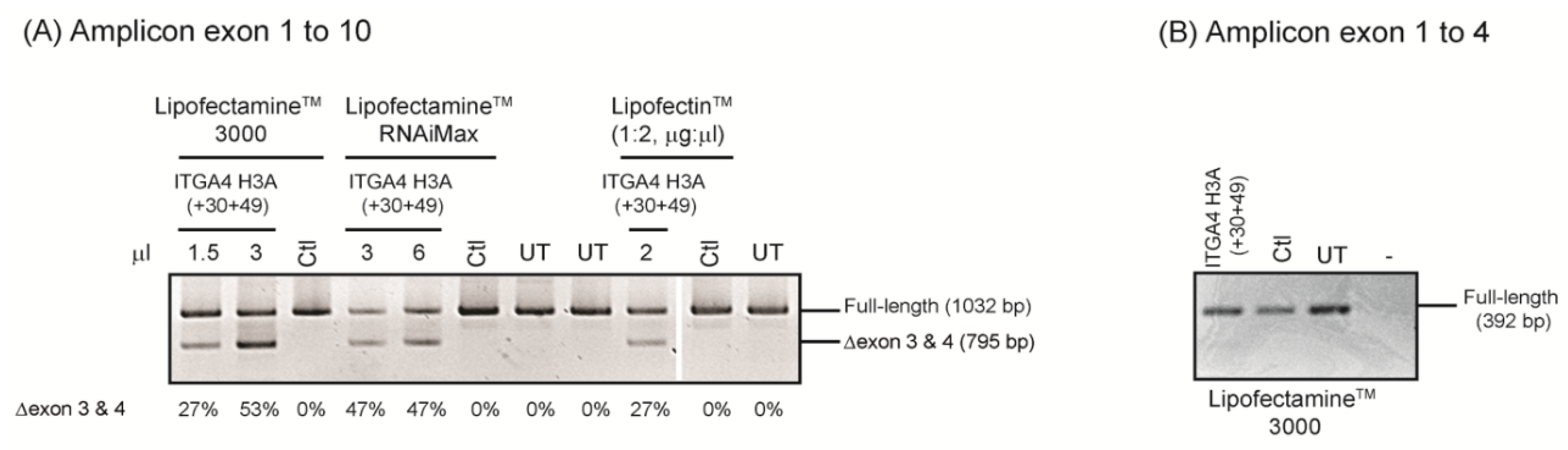 Ijms 20 05030 g003