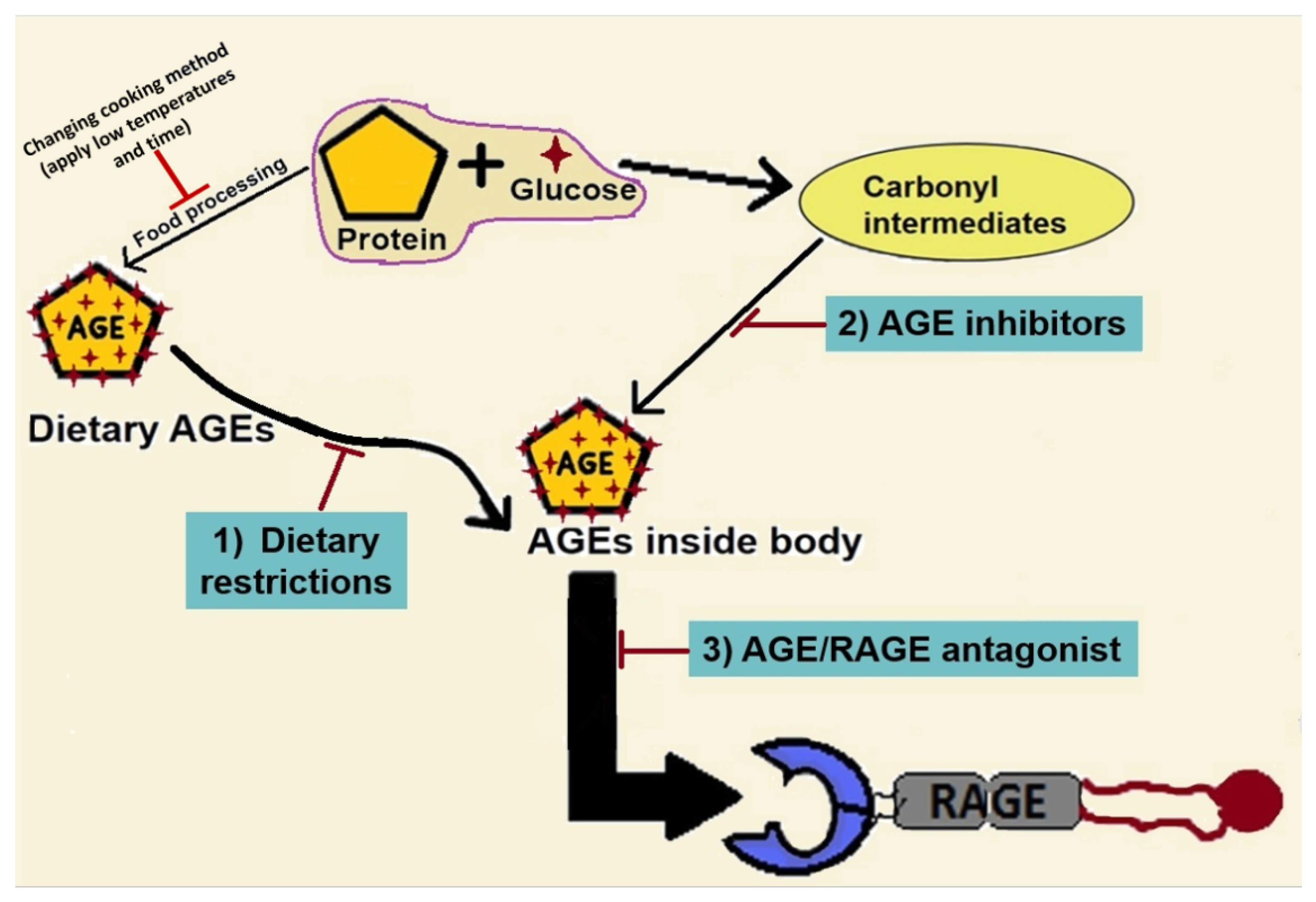Ijms 20 05037 g005 Ijms 20 05037 g005