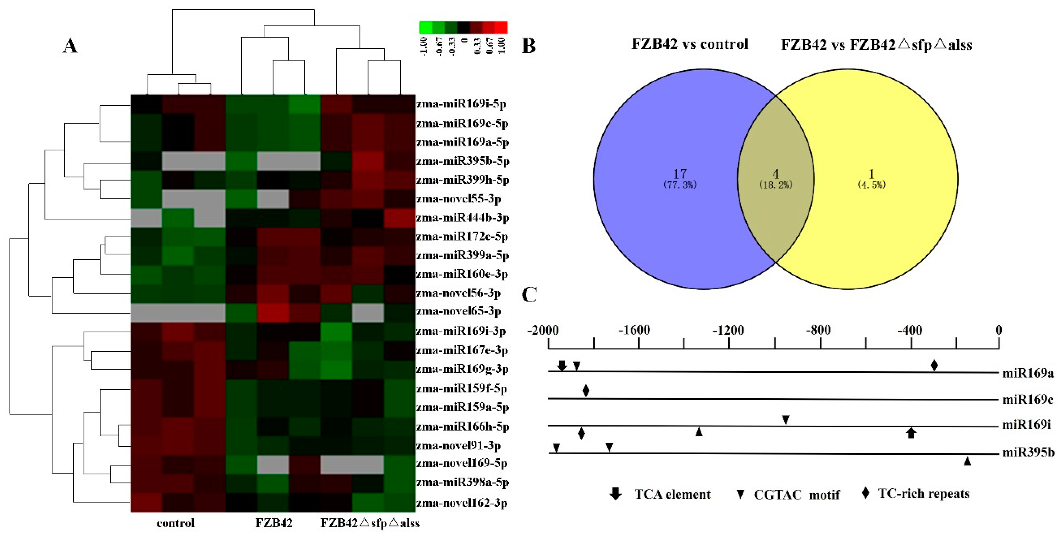 Ijms 20 05057 g003 550