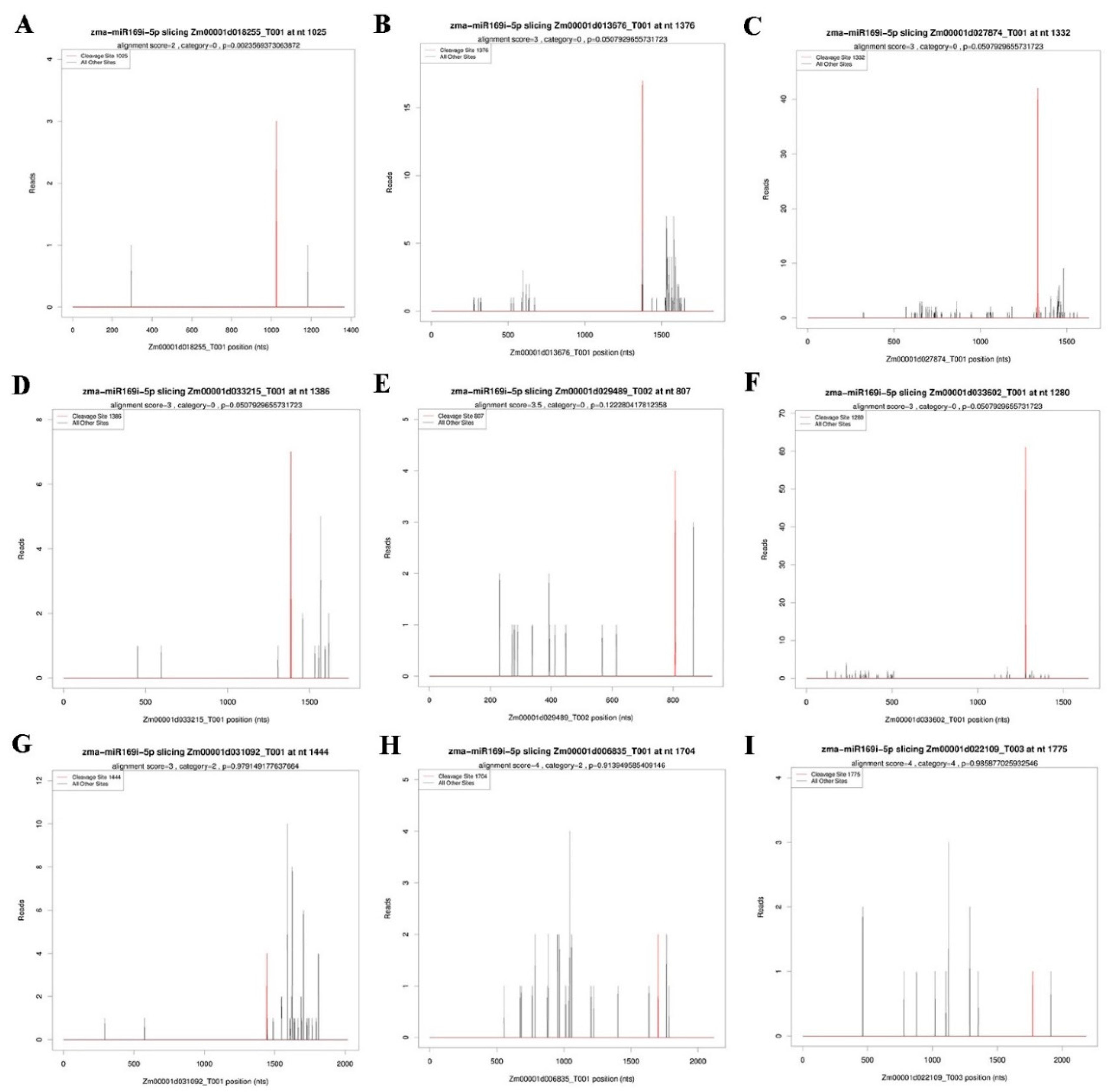 Ijms 20 05057 g005 550