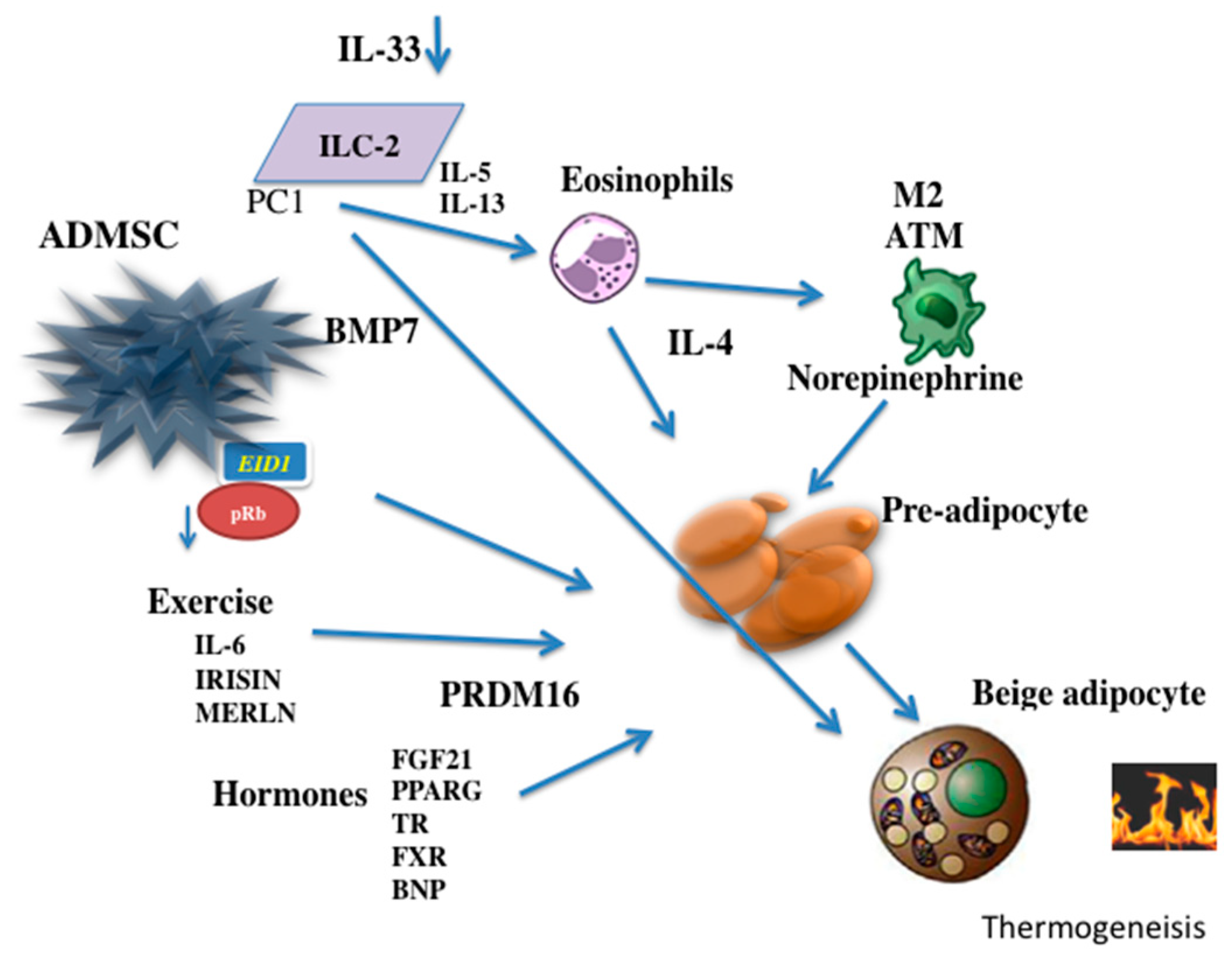 Ijms 20 05058 g001