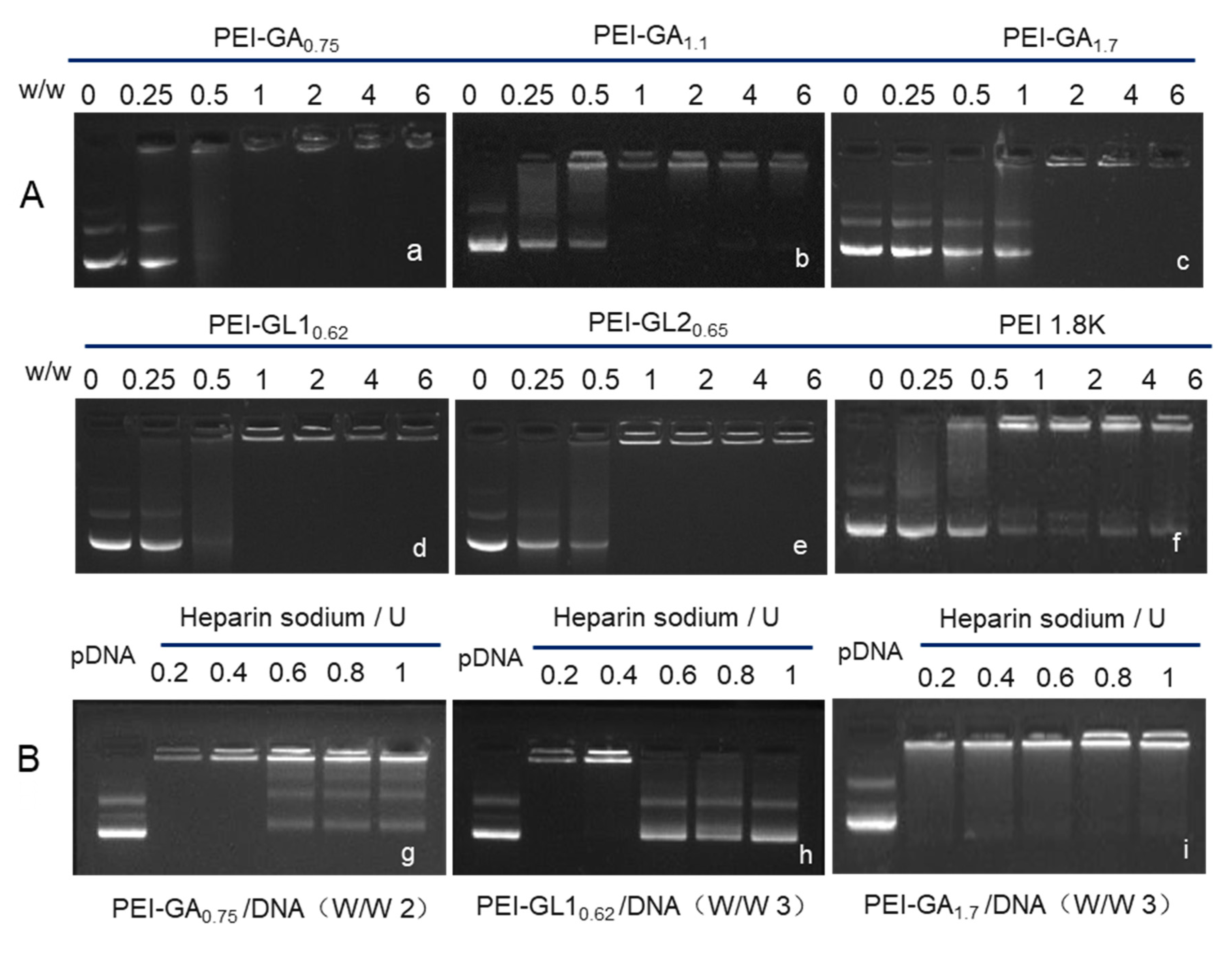Ijms 20 05074 g002 Ijms 20 05074 g002