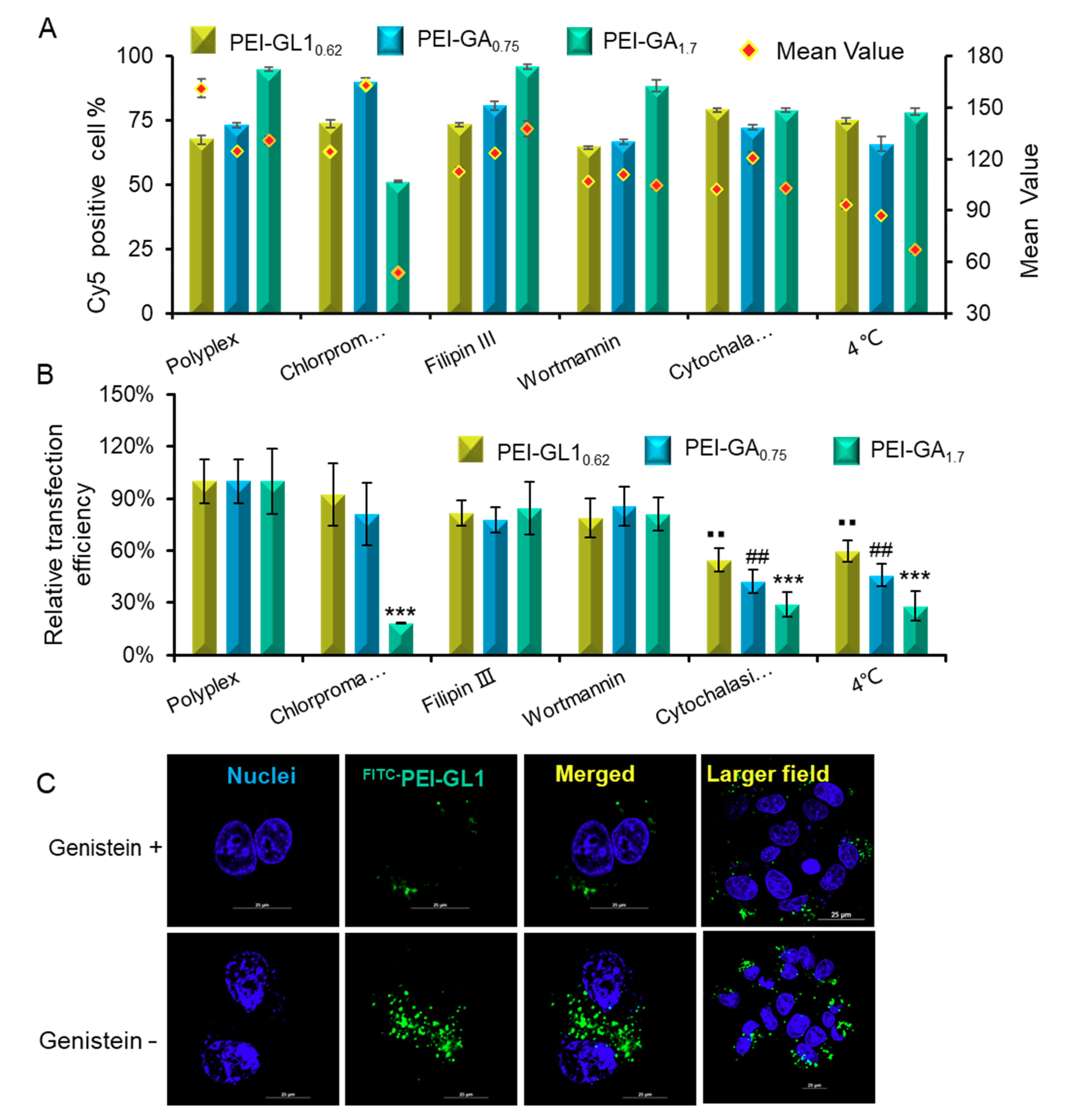 Ijms 20 05074 g007 Ijms 20 05074 g007