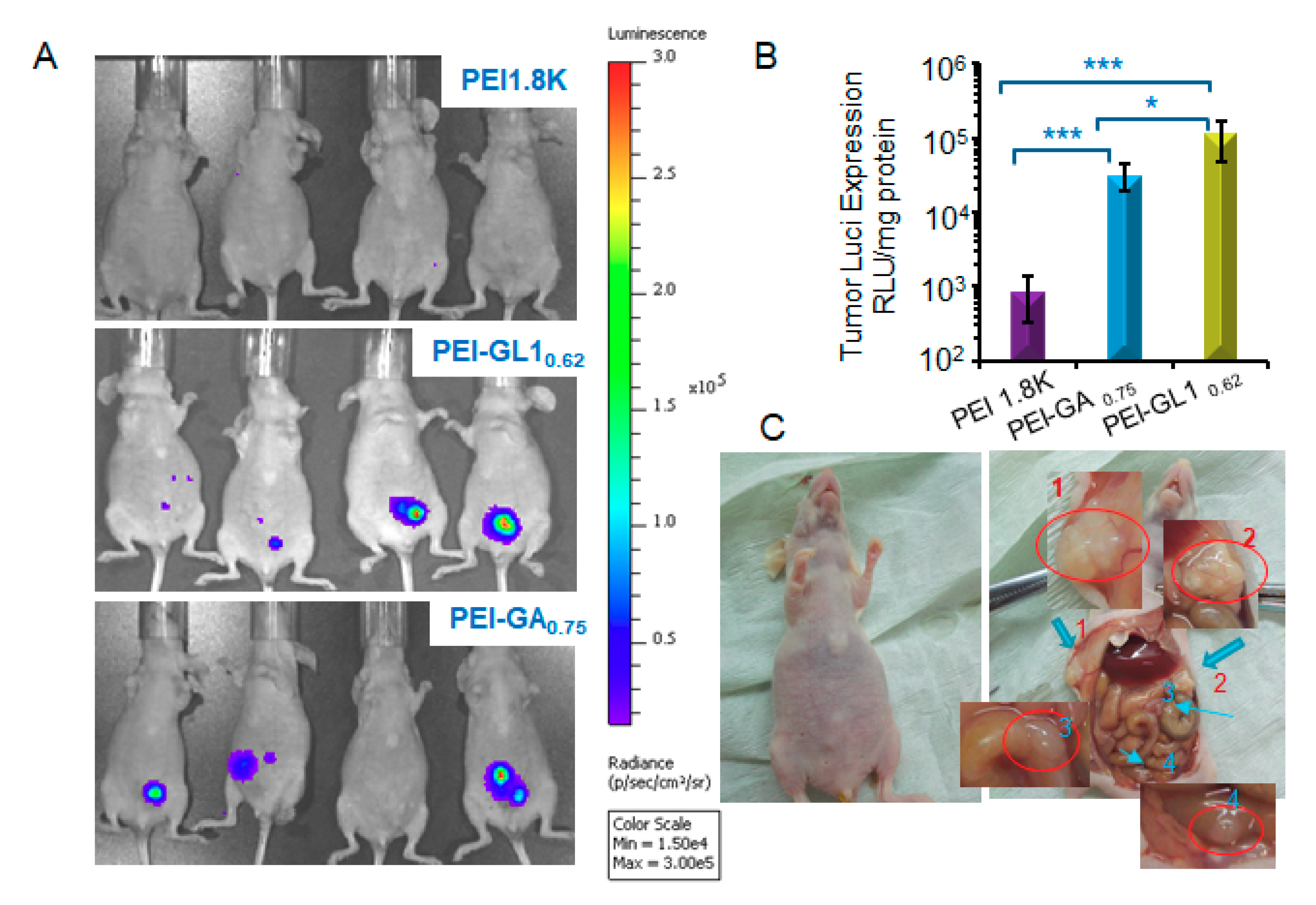 Ijms 20 05074 g009 Ijms 20 05074 g009