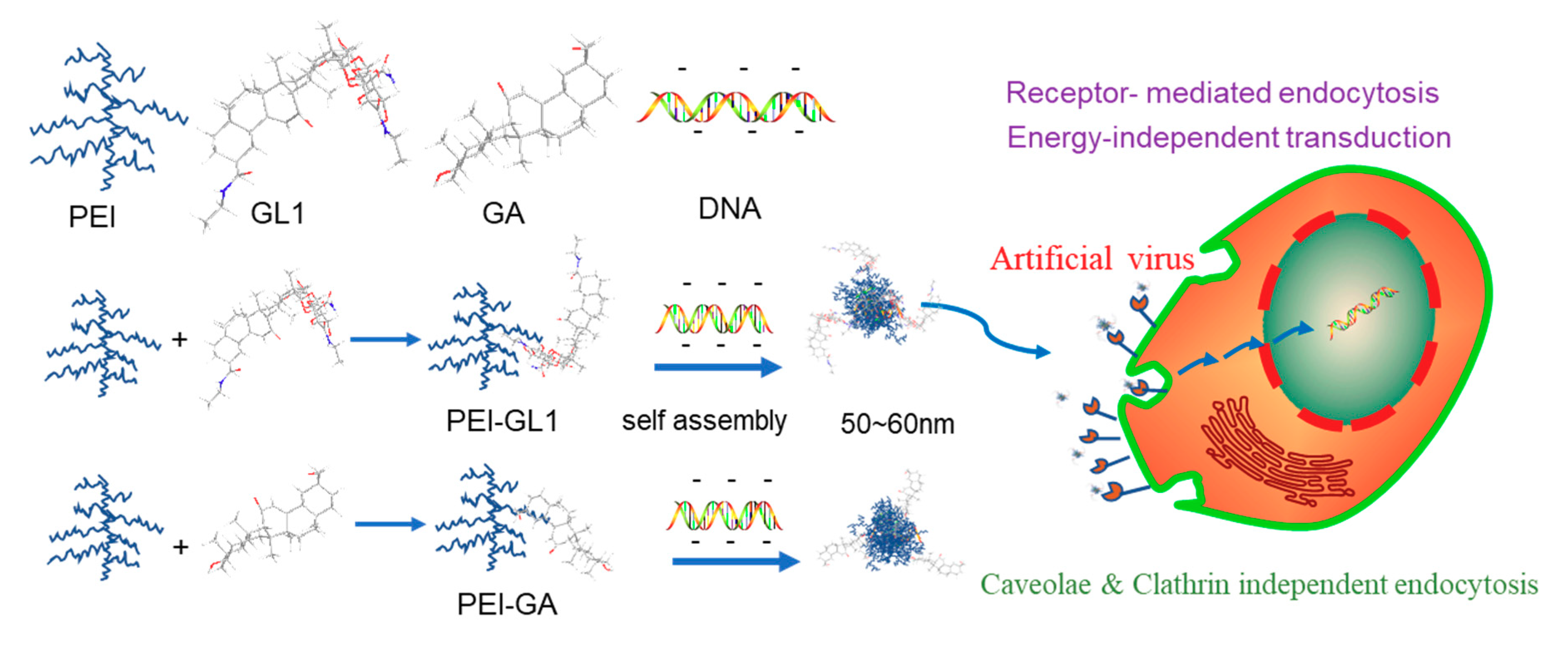Ijms 20 05074 sch001 Ijms 20 05074 sch001
