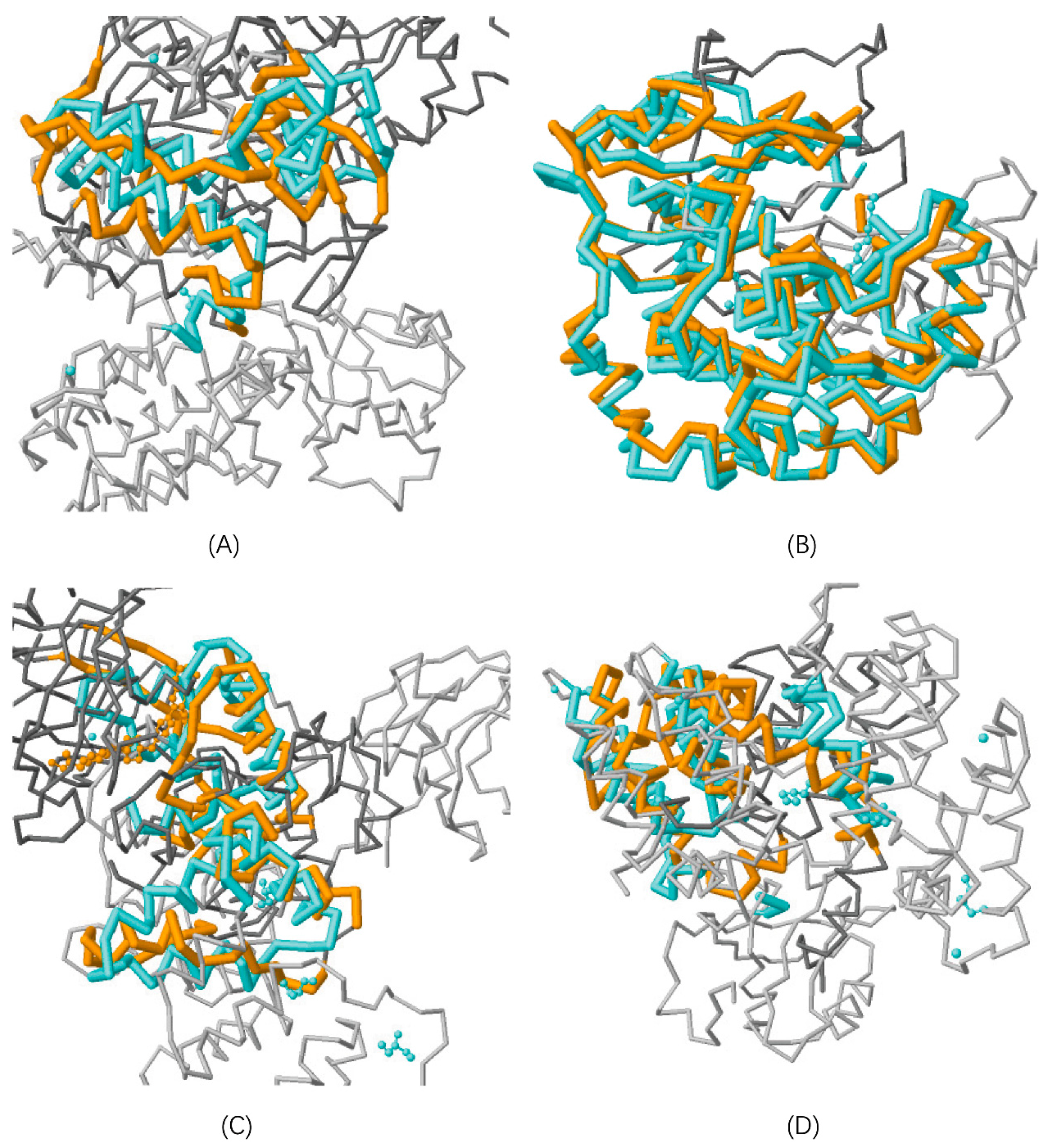 Ijms 20 05075 g001