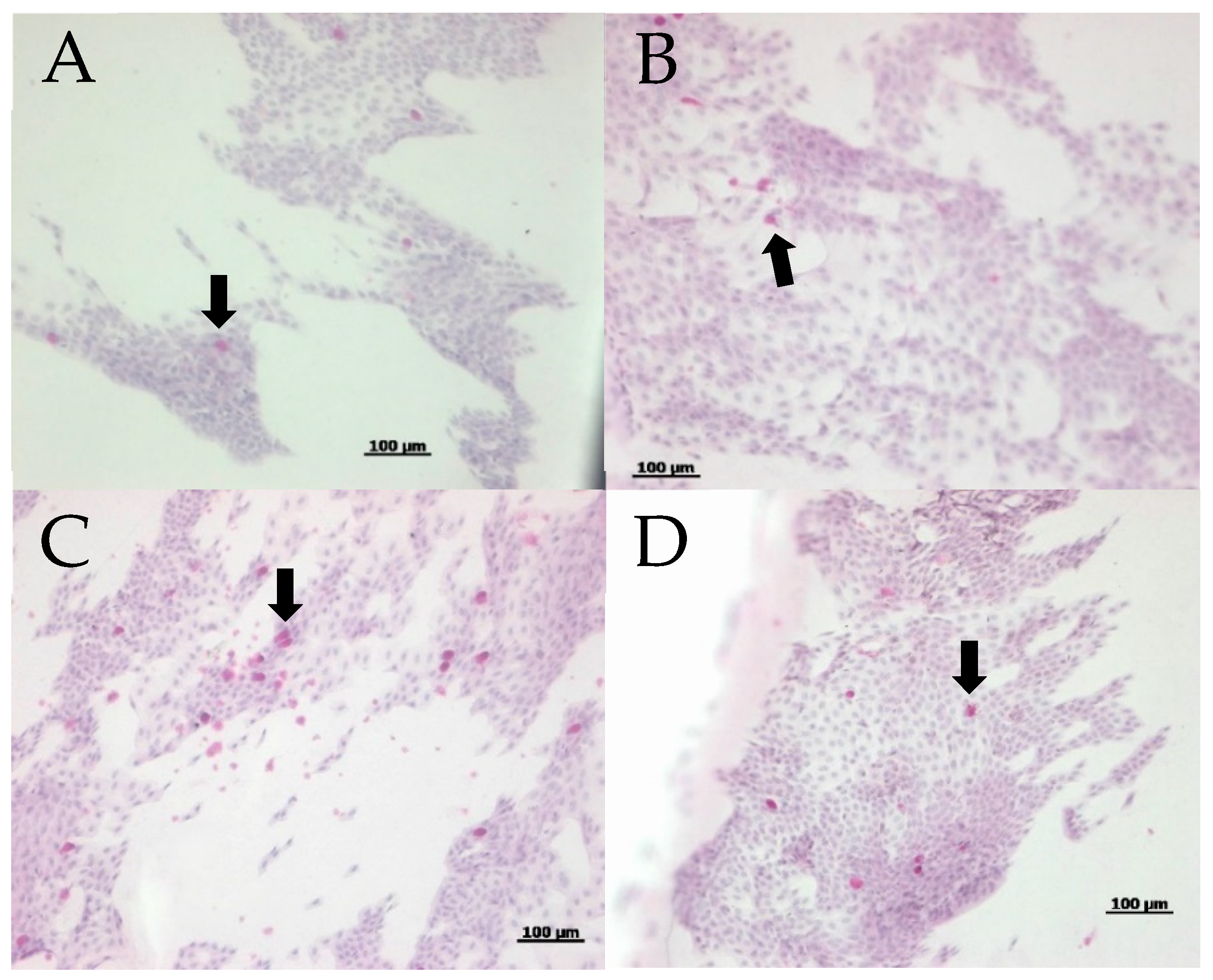 Ijms 20 05078 g006