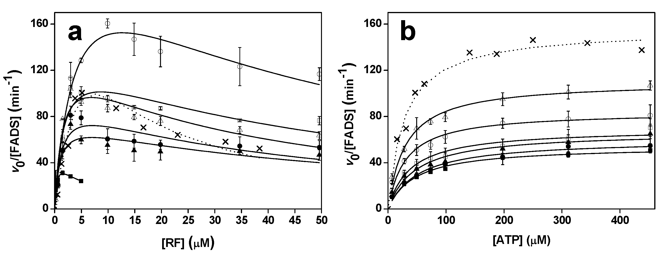 Ijms 20 05083 g003 Ijms 20 05083 g003