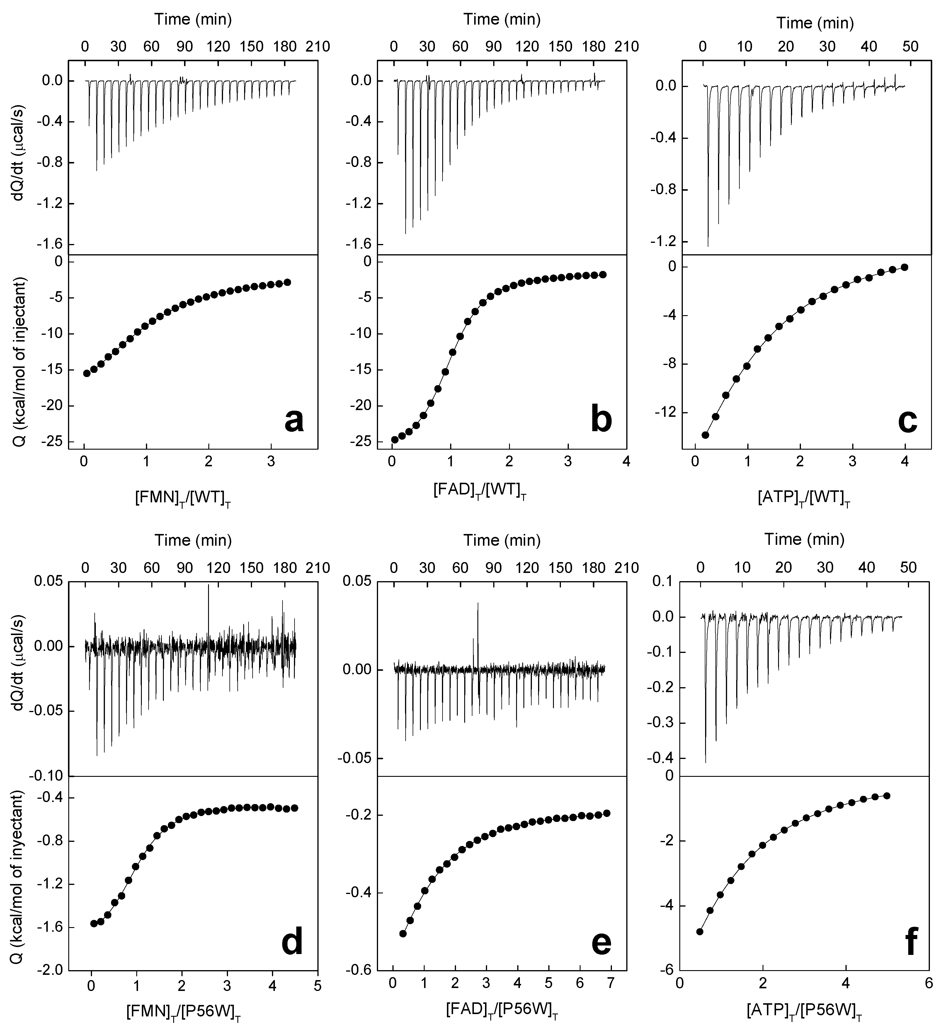 Ijms 20 05083 g004 Ijms 20 05083 g004