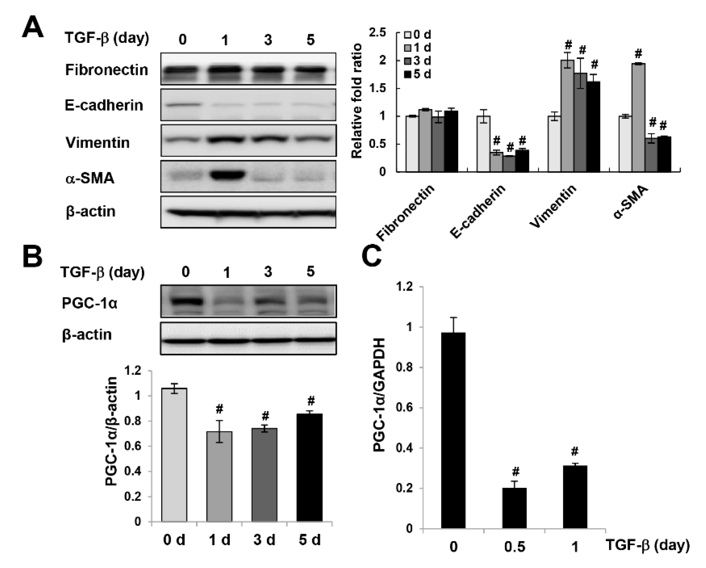 Ijms 20 05084 g002 Ijms 20 05084 g002