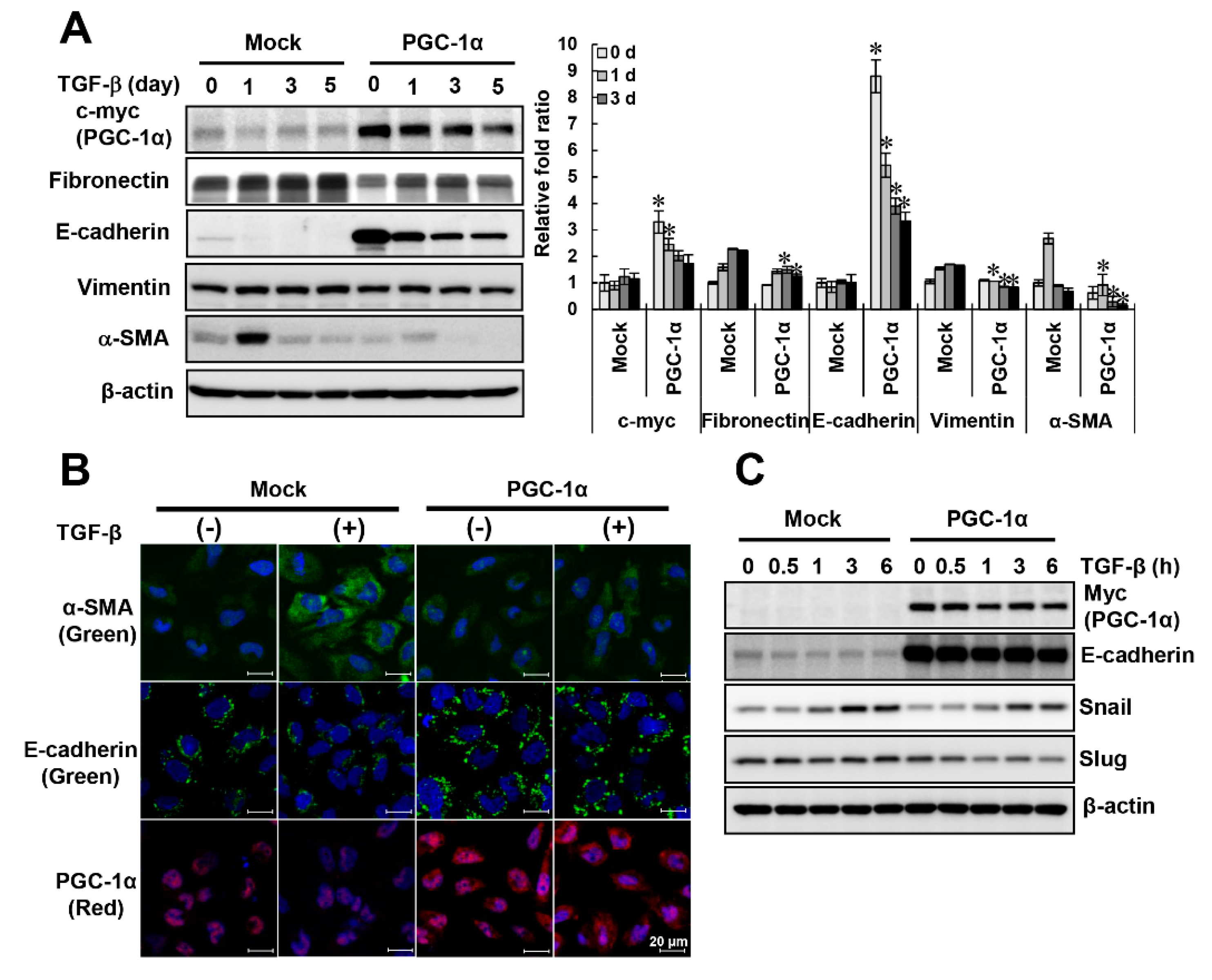 Ijms 20 05084 g003 Ijms 20 05084 g003